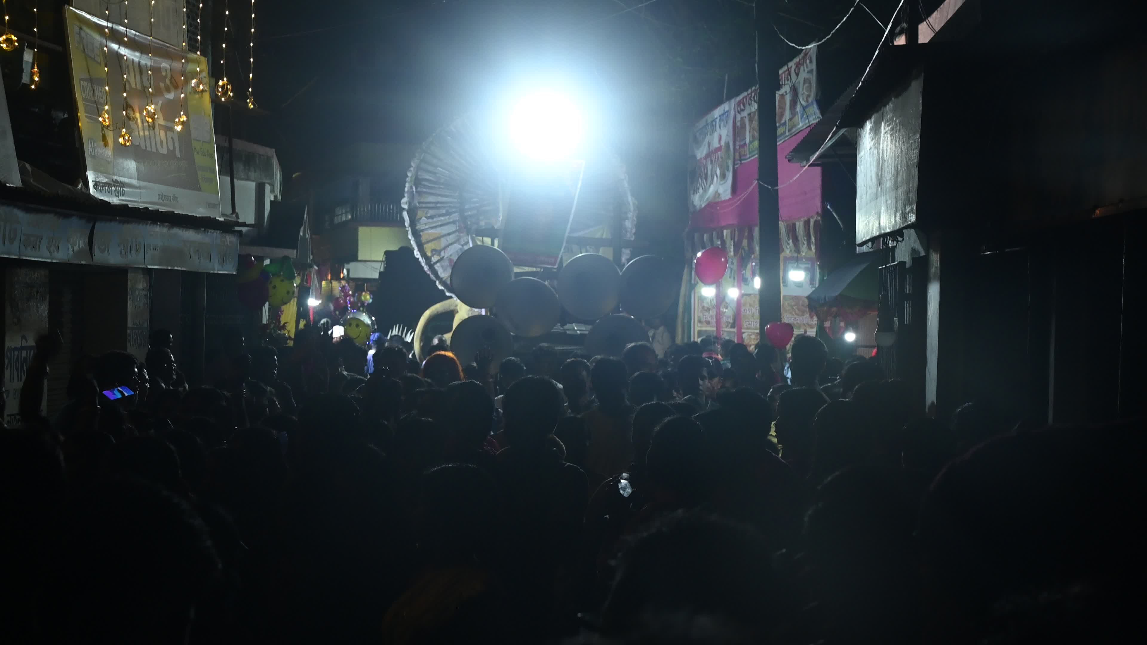 Village Carnival of India - Jagaddhatri Puja
