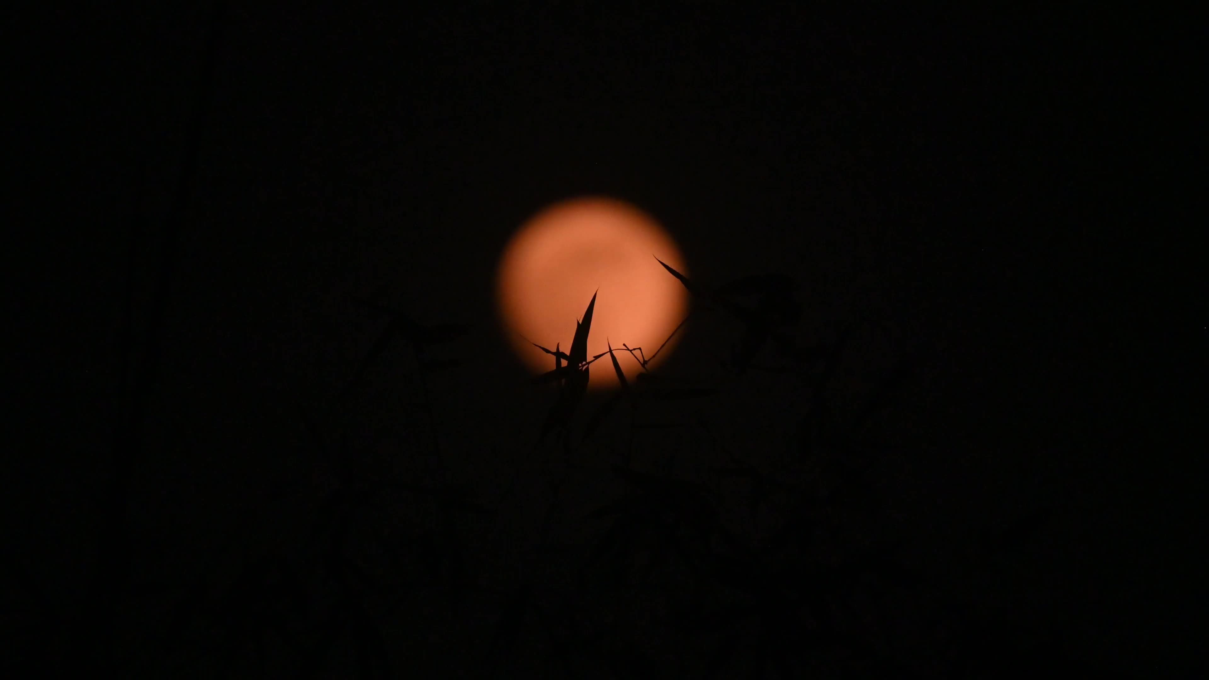 The final supermoon of 2024 - Beaver Moon