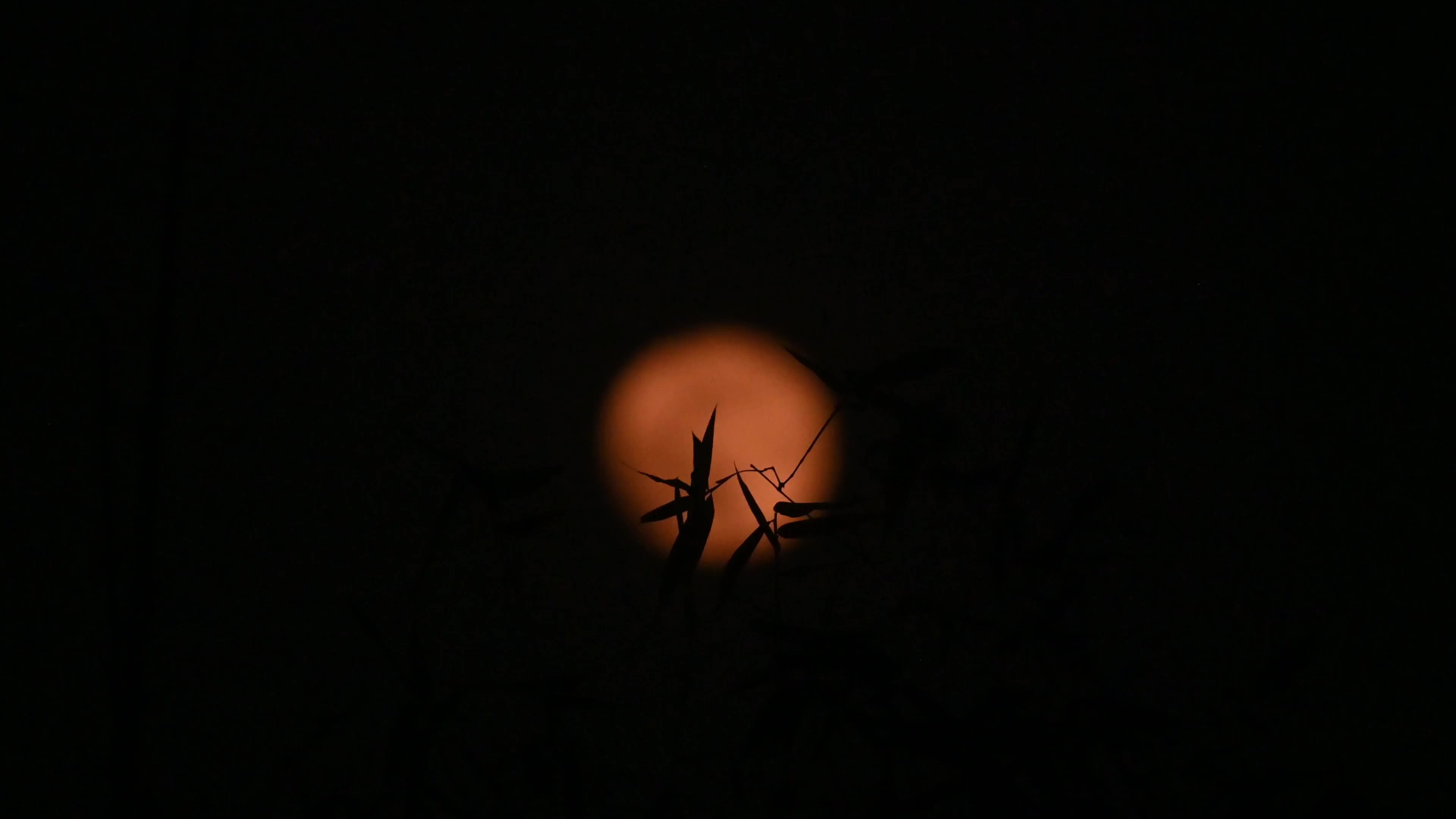 The final supermoon of 2024 - Beaver Moon