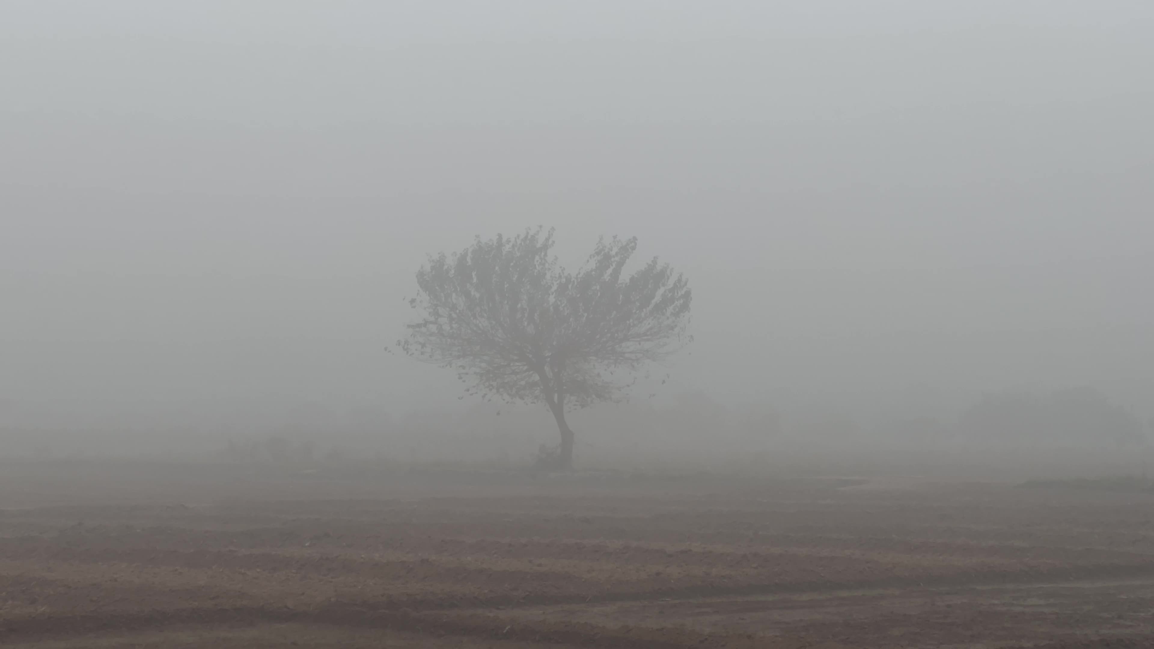 Lahore, Multan, Peshawar most polluted cities in country
