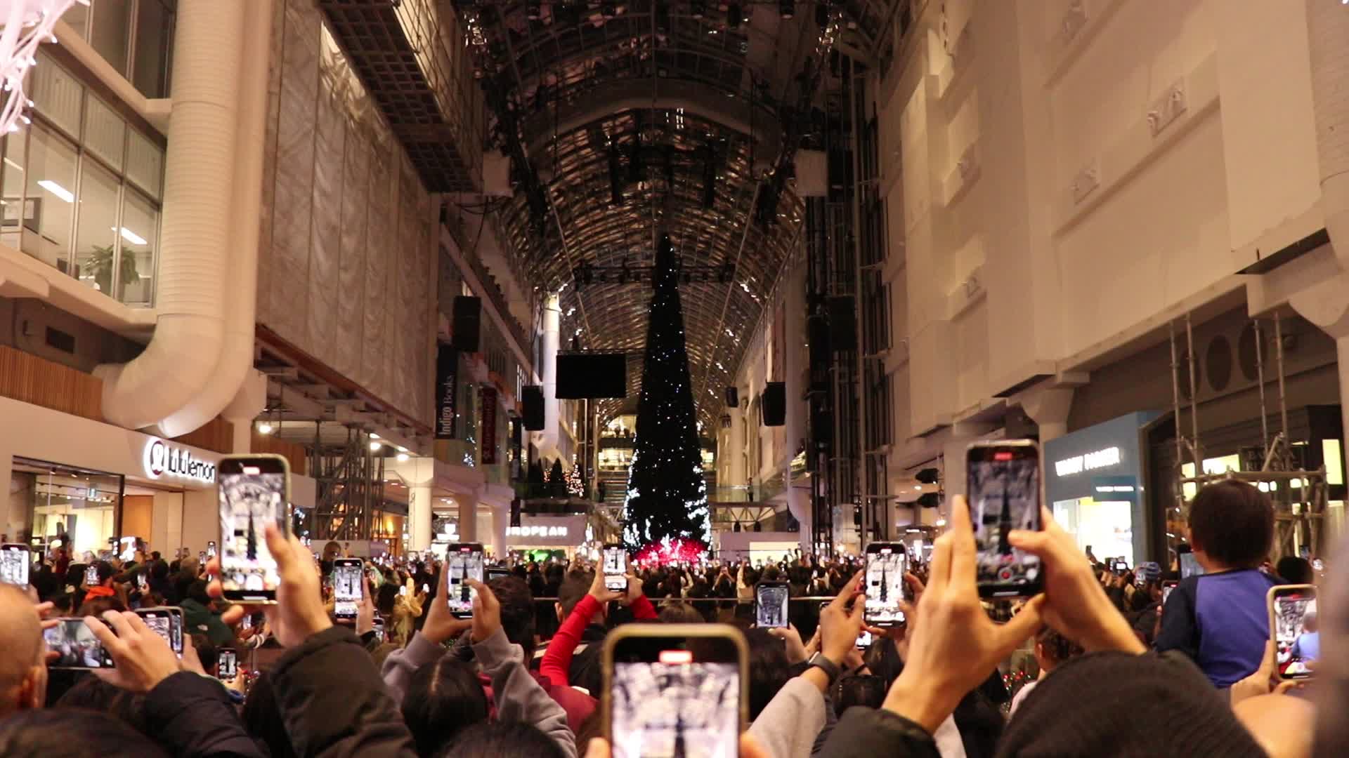 Christmas Tree in Toronto, Canada
