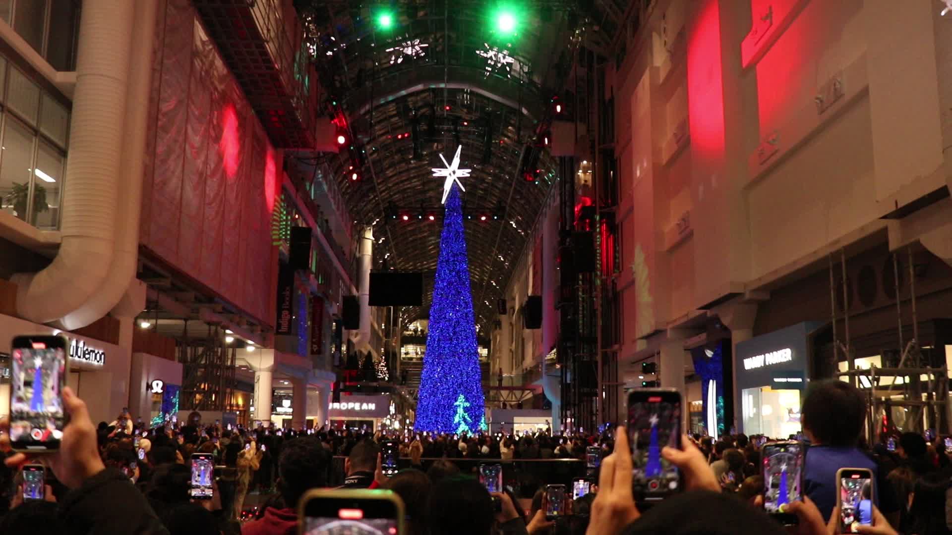 Christmas Tree in Toronto, Canada
