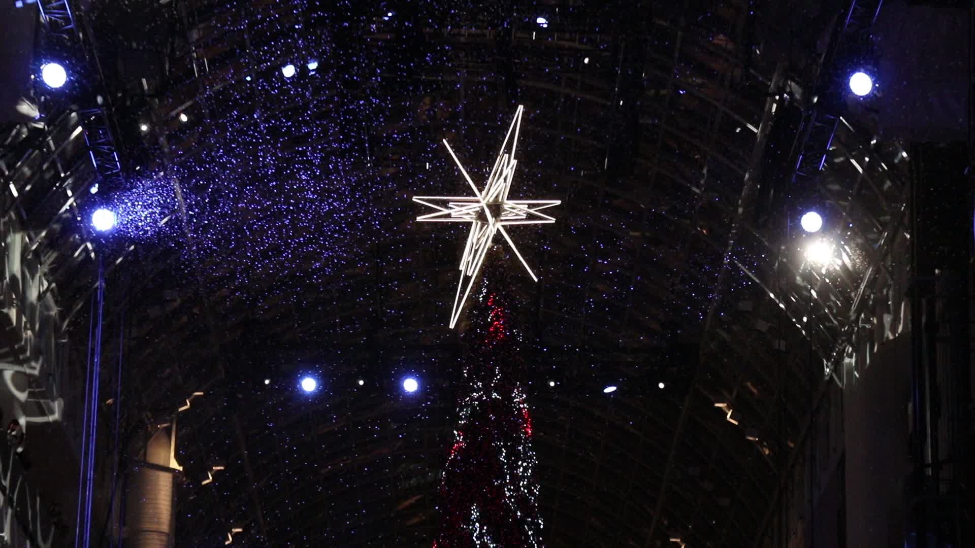 Christmas Tree in Toronto, Canada