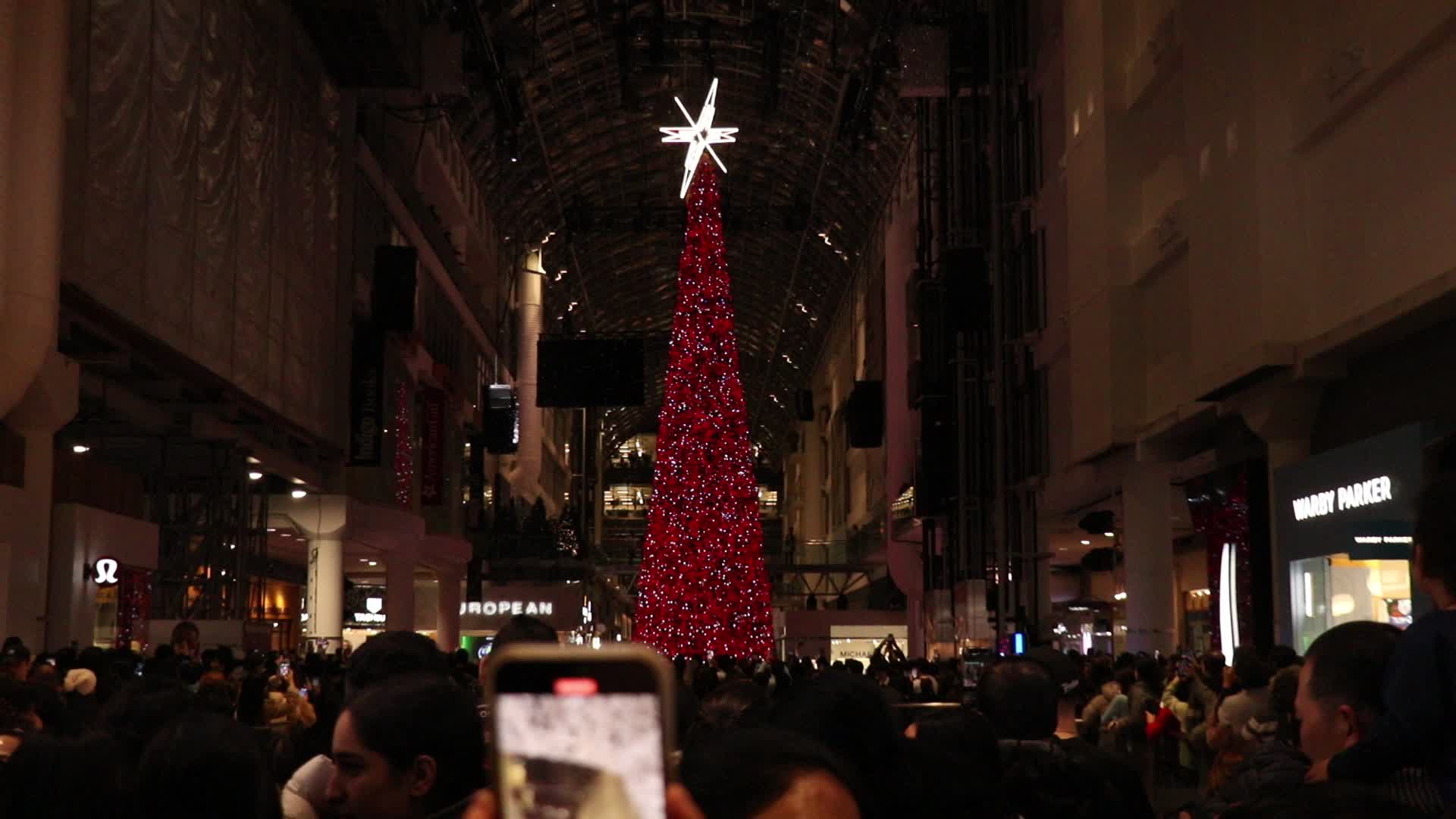 Christmas Tree in Toronto, Canada