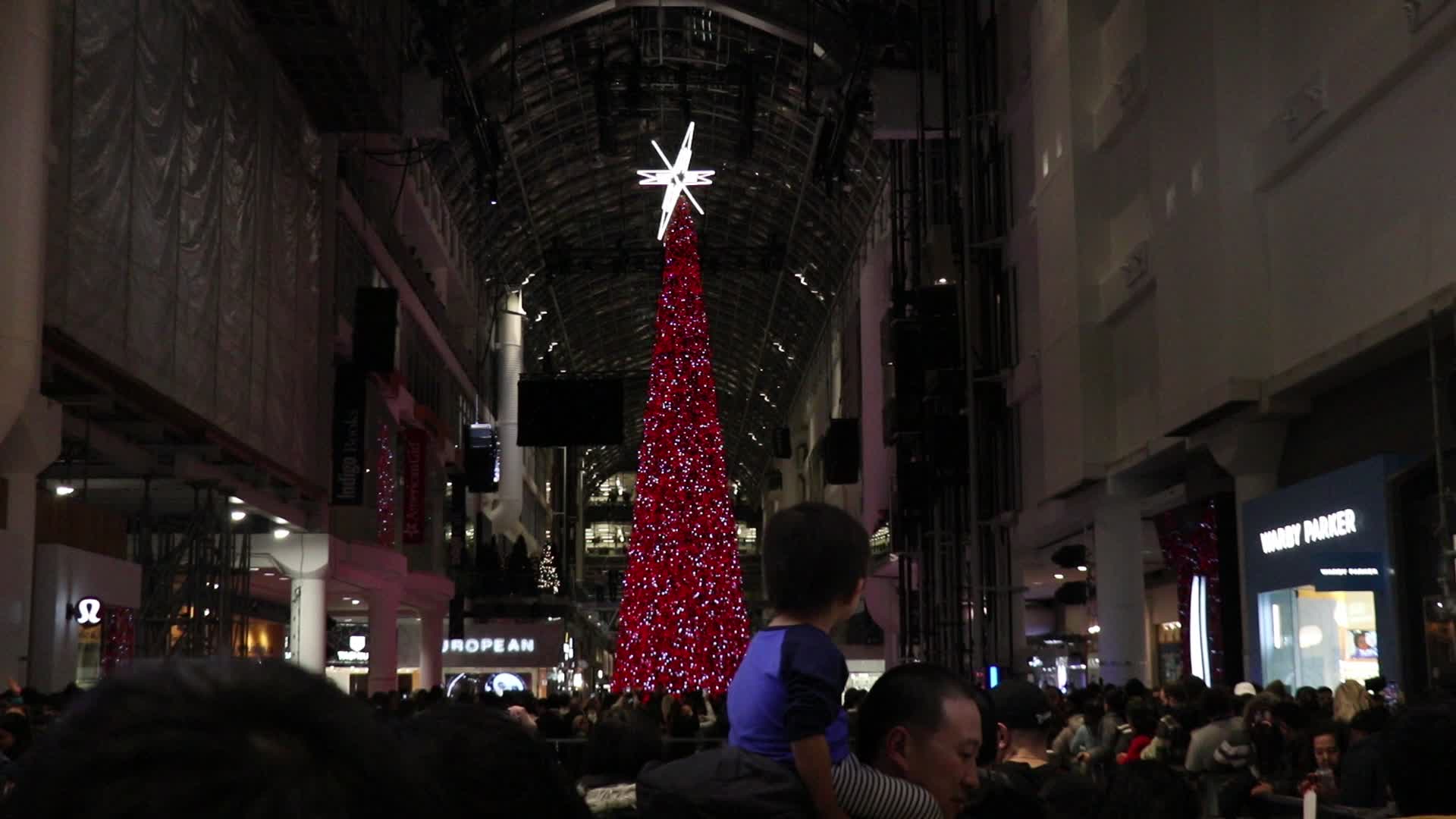 Christmas Tree in Toronto, Canada