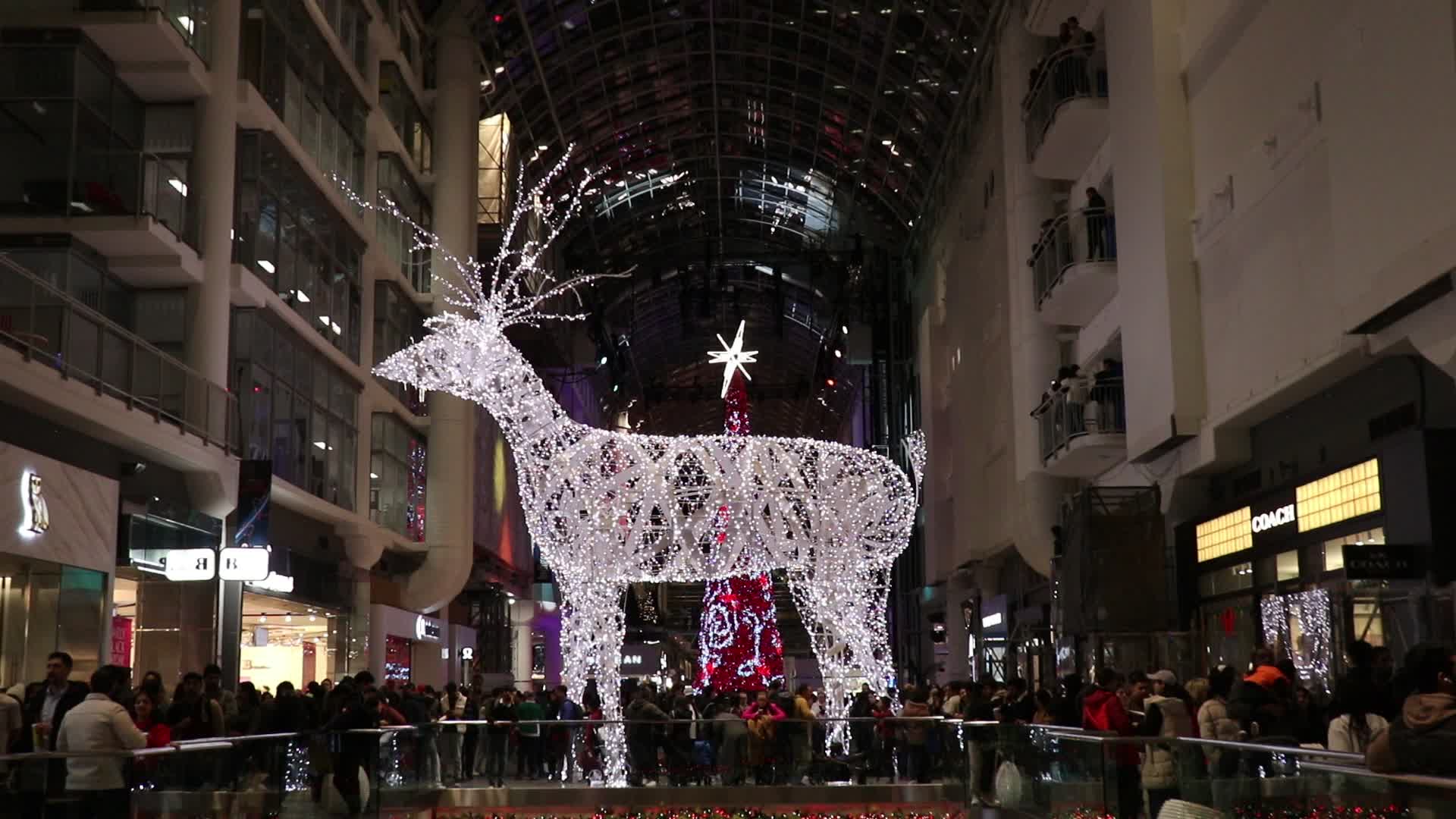 Christmas Tree in Toronto, Canada