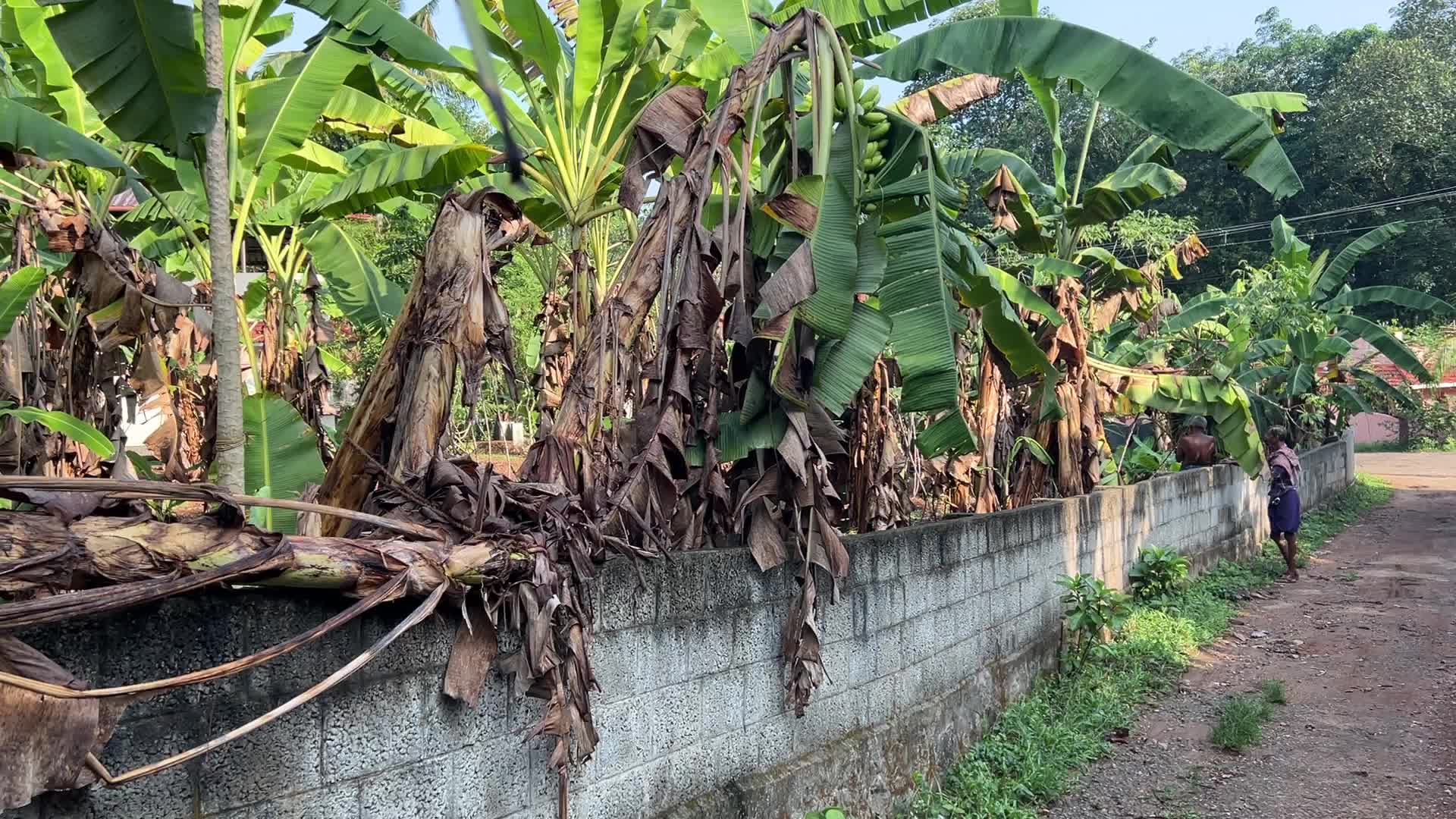 Daily life in Kerala