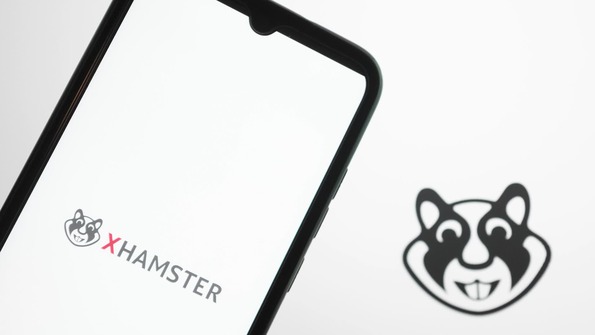 Video Logo Illustration