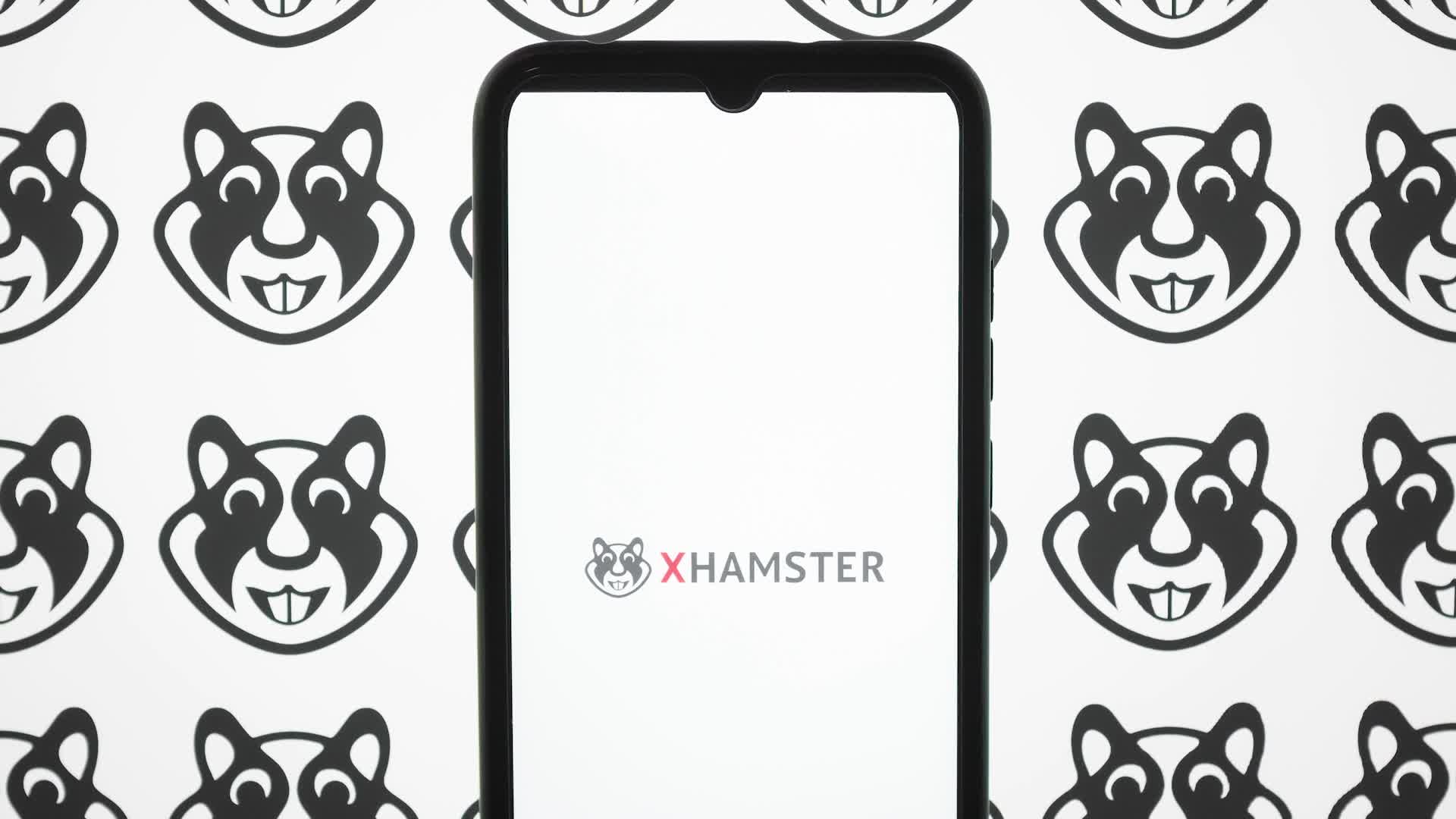 Video Logo Illustration