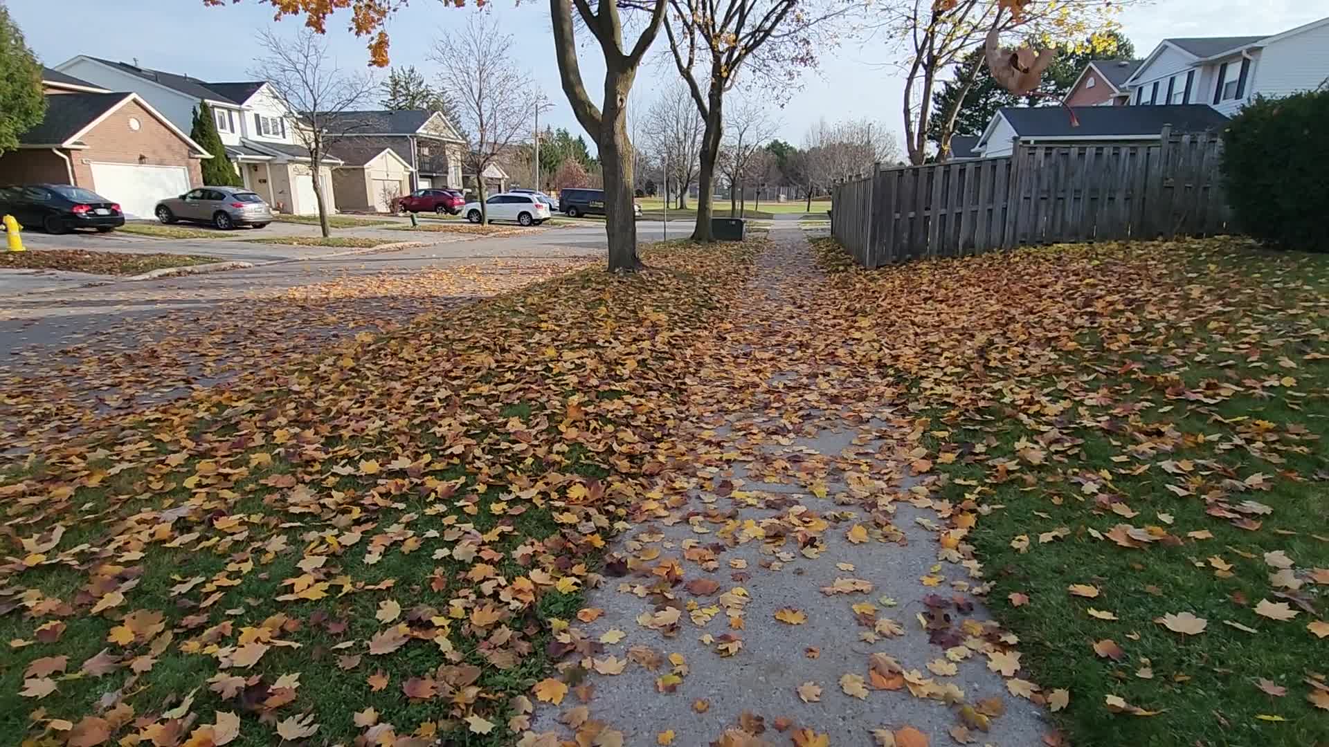 First frost of the season in Toronto, Canada