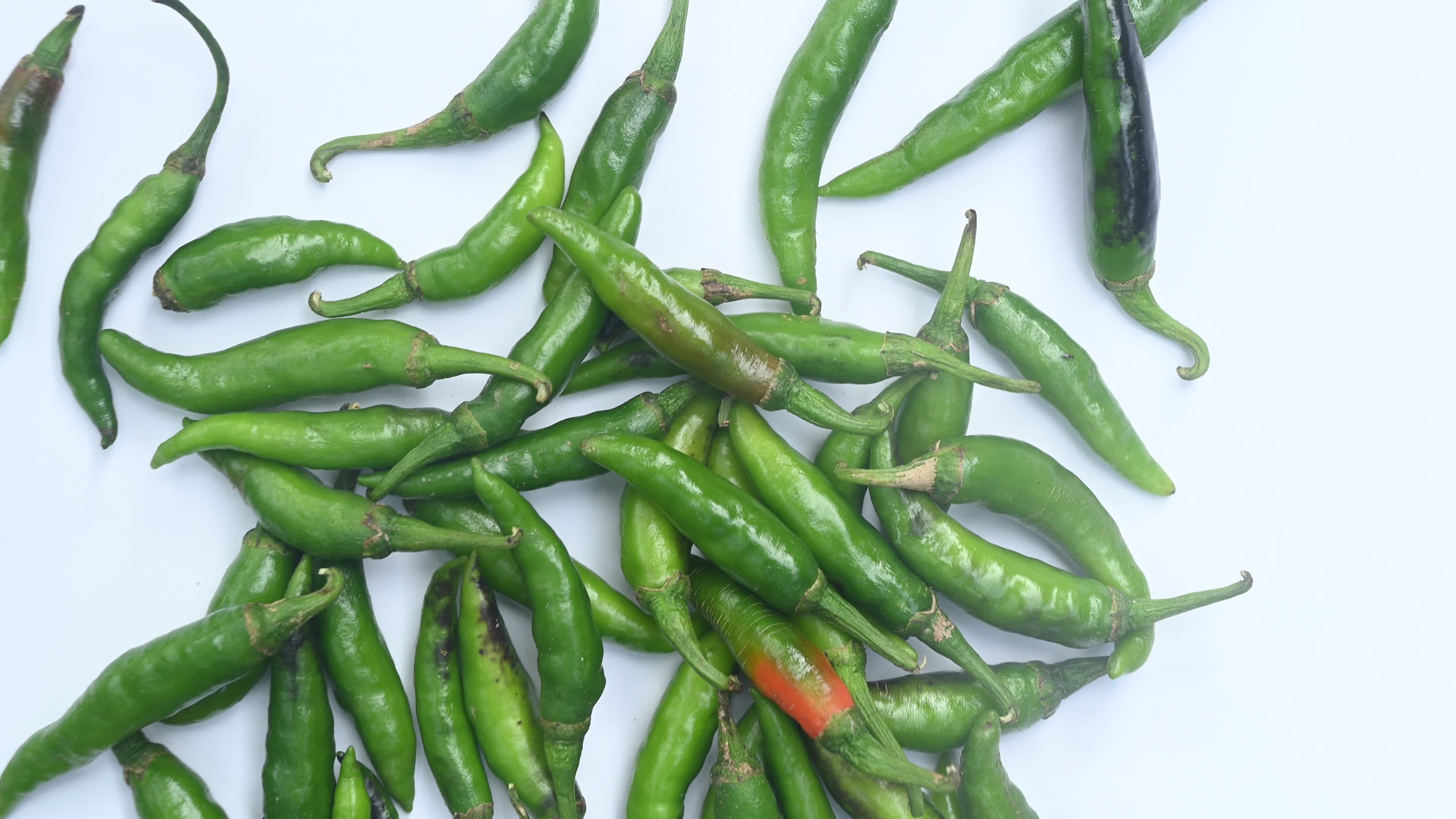 Green Chilli Pepper - Agriculture in India
