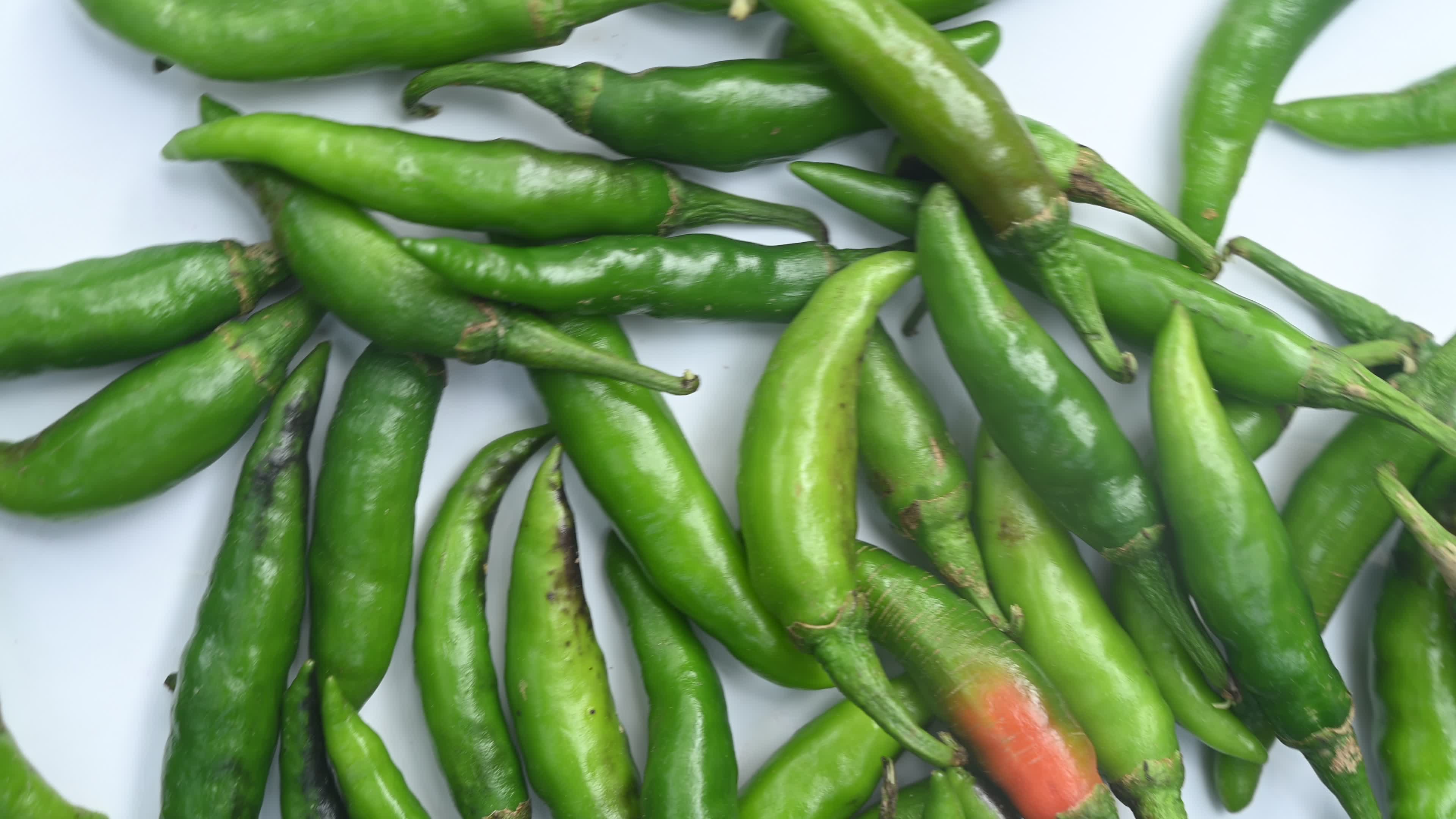 Green Chilli Pepper - Agriculture in India
