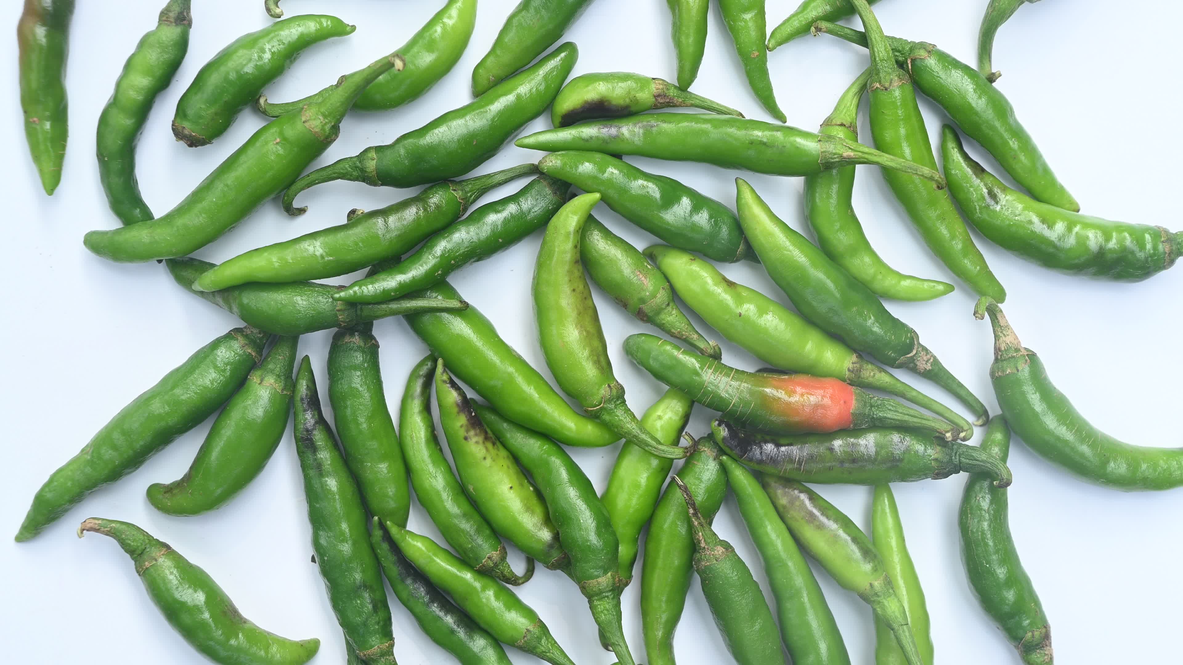 Green Chilli Pepper - Agriculture in India

