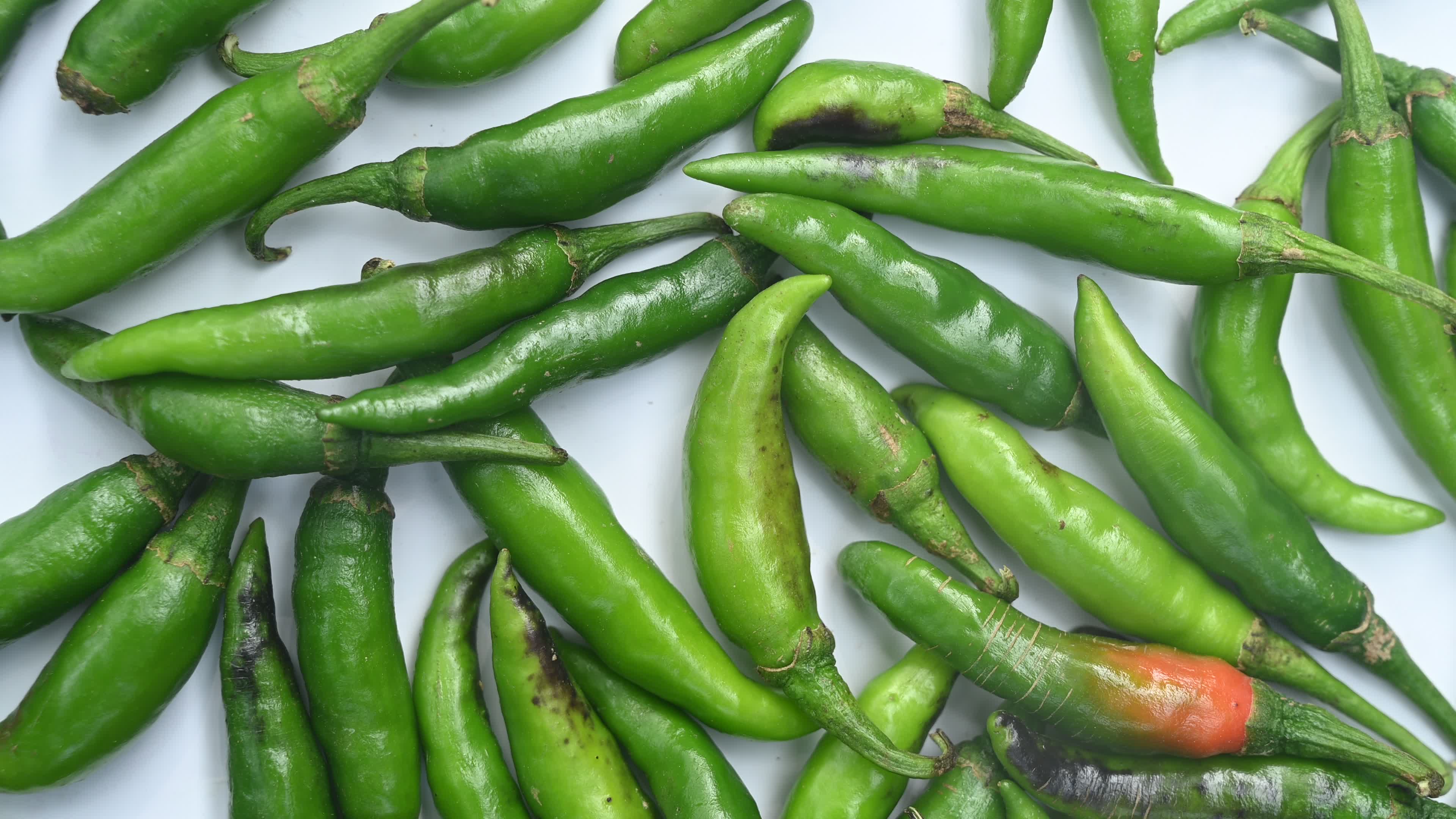 Green Chilli Pepper - Agriculture in India
