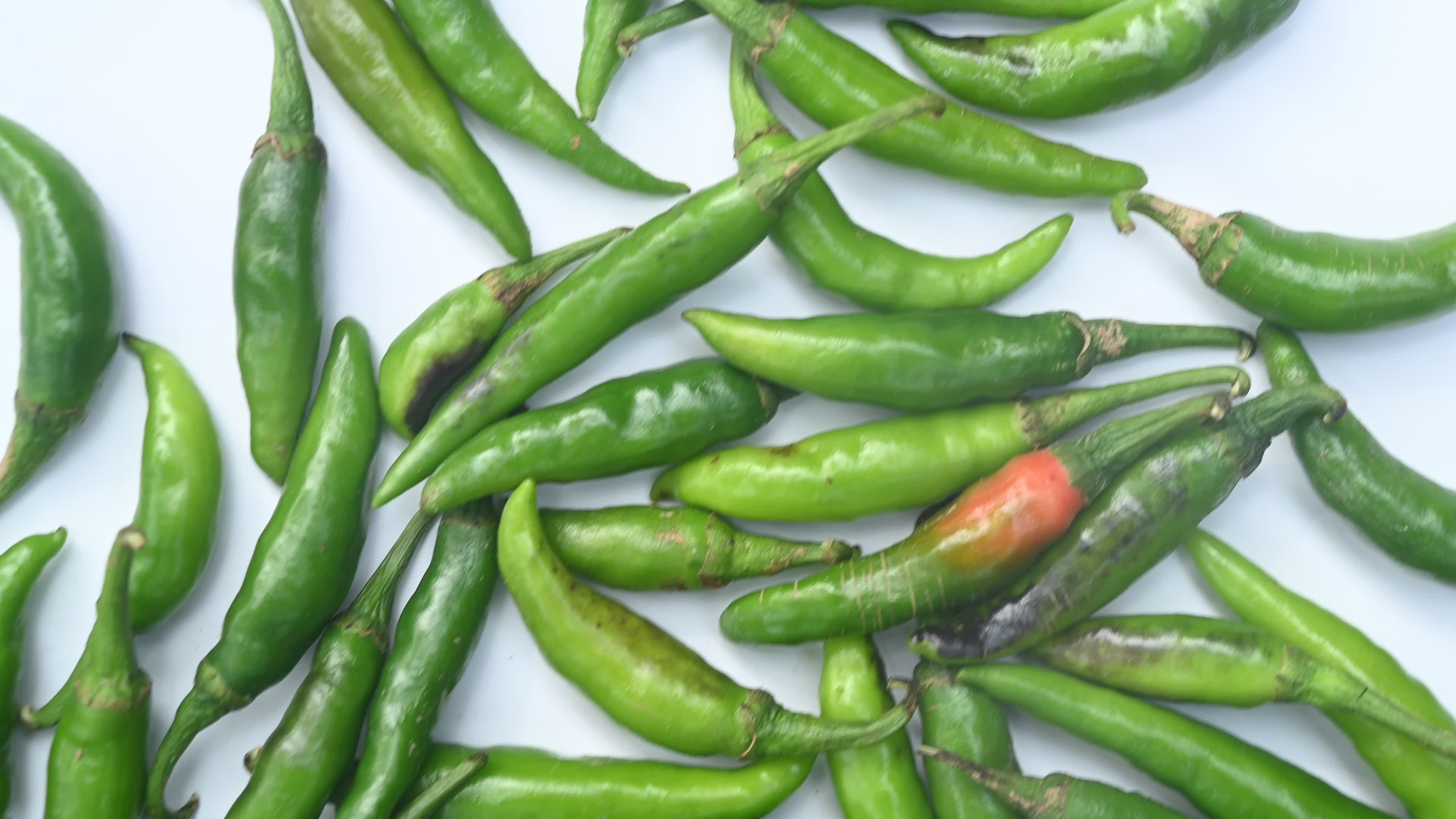 Green Chilli Pepper - Agriculture in India
