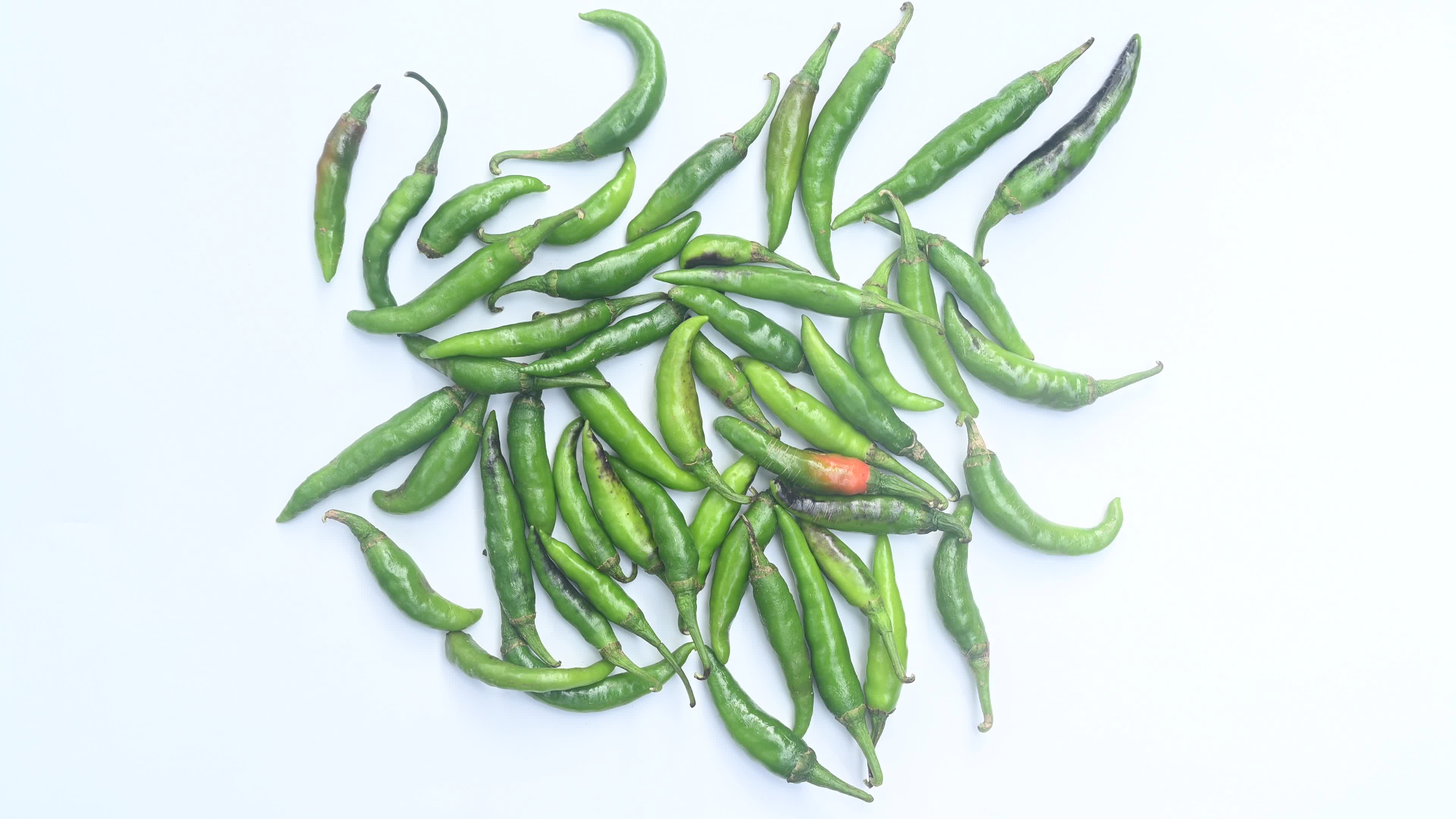 Green Chilli Pepper - Agriculture in India
