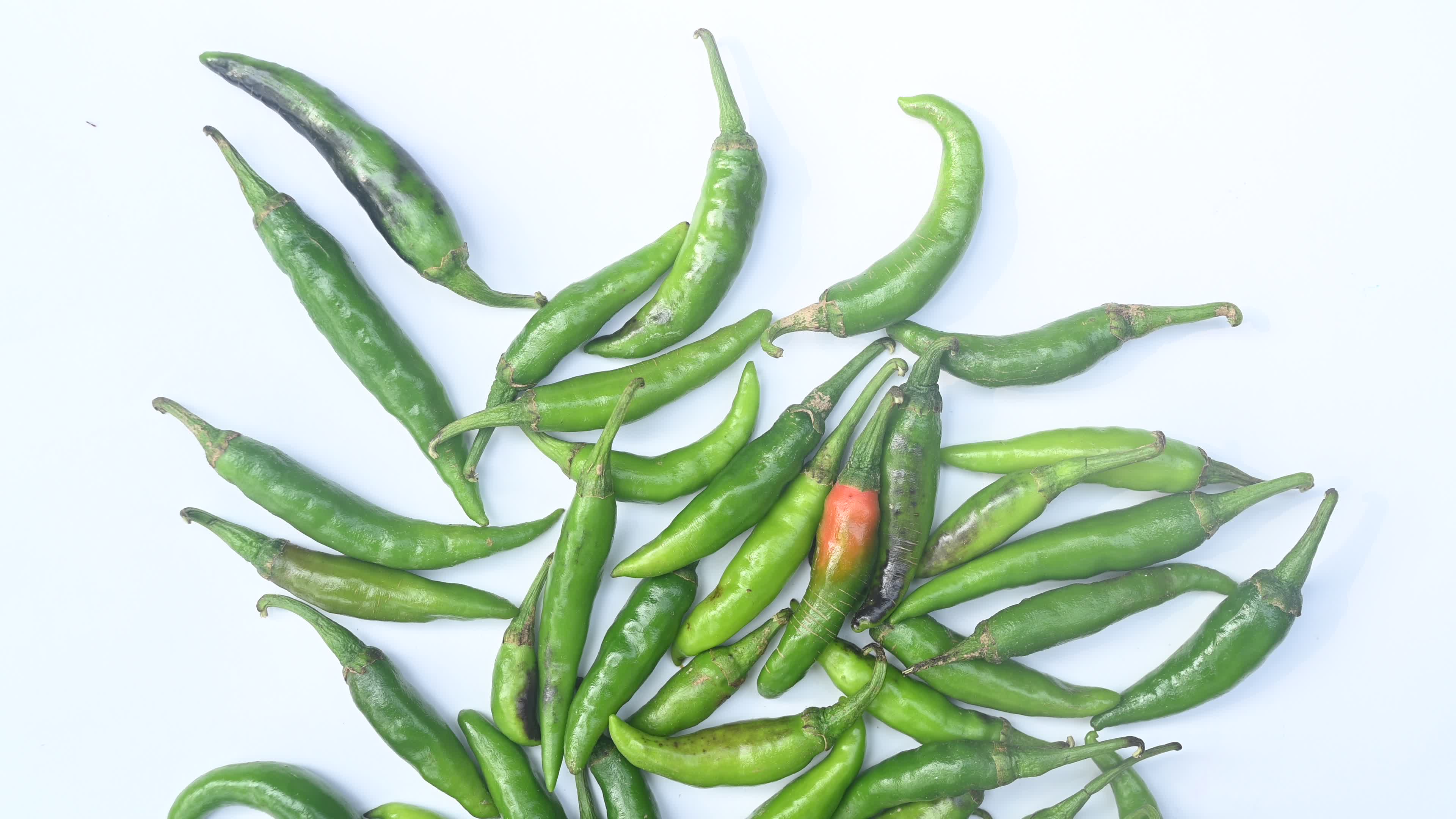Green Chilli Pepper - Agriculture in India
