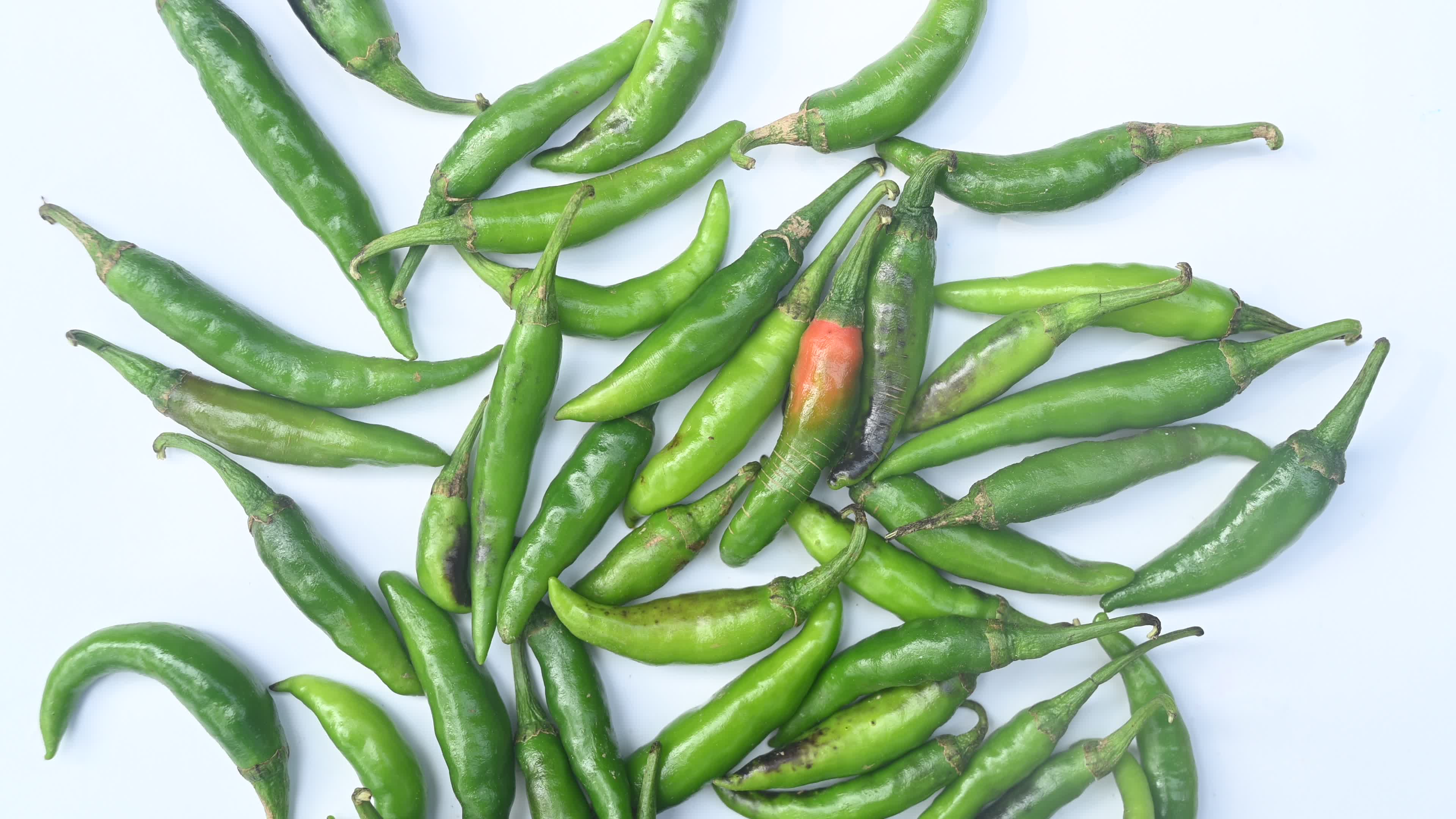 Green Chilli Pepper - Agriculture in India

