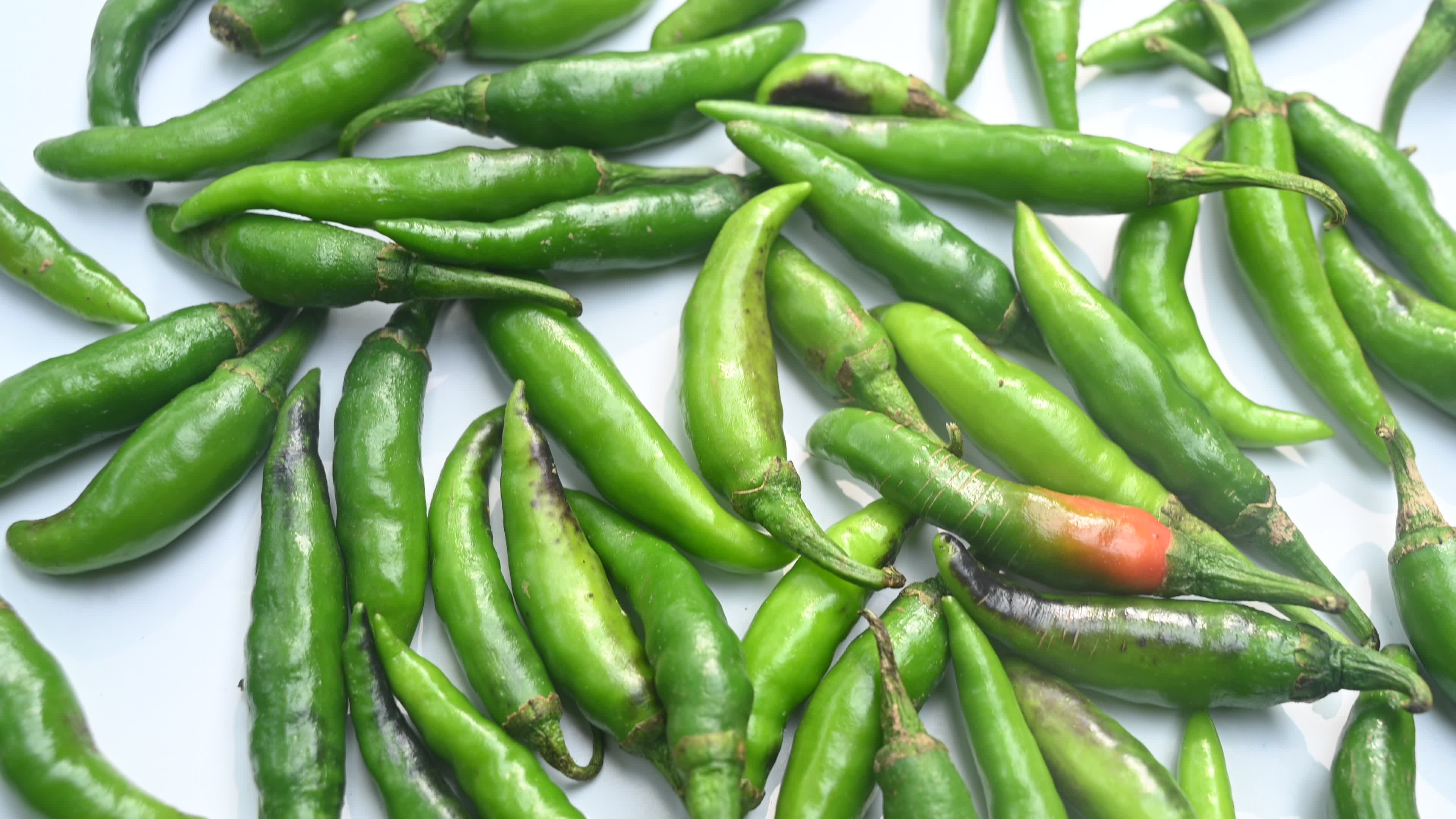 Green Chilli Pepper - Agriculture in India
