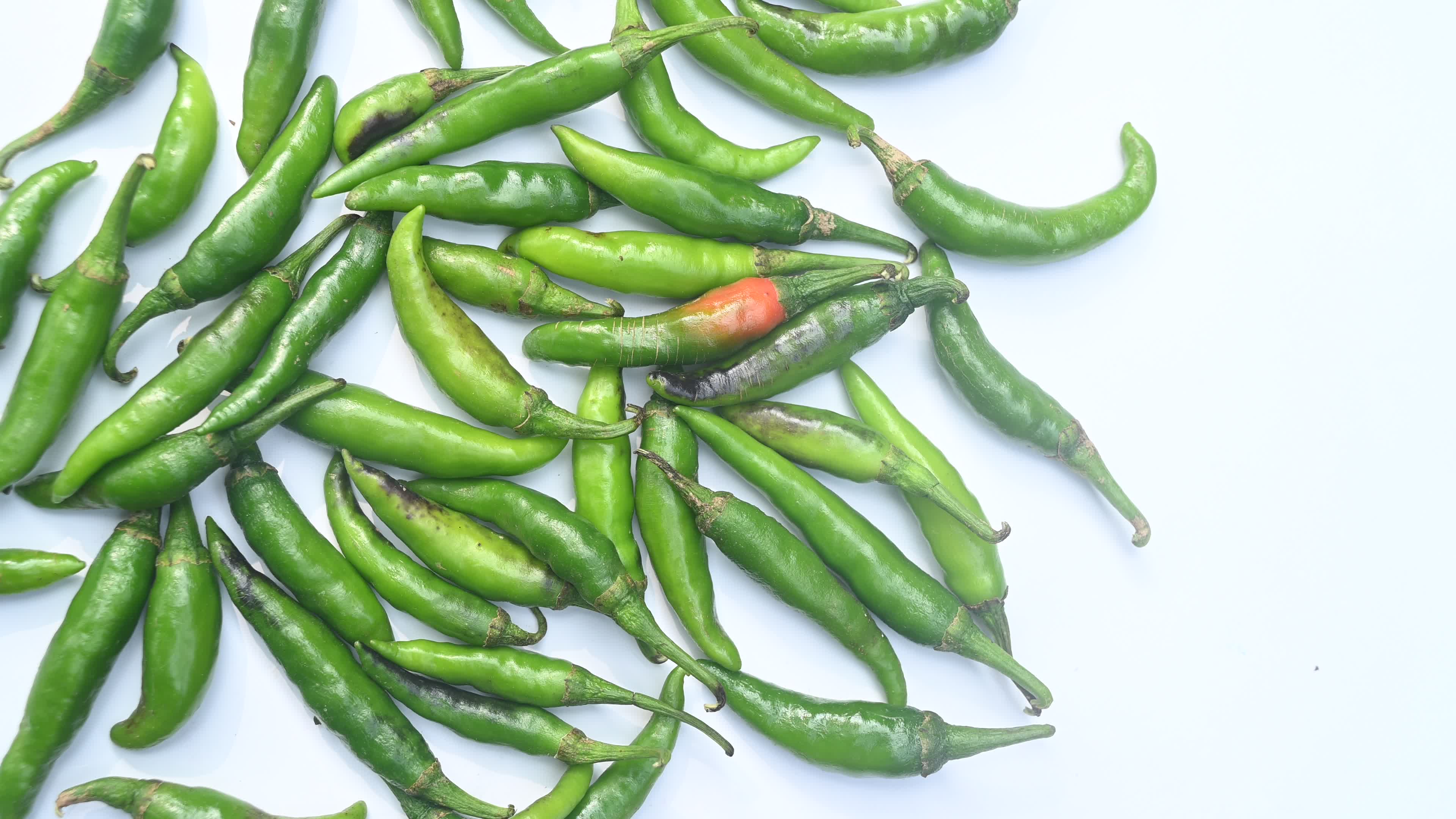 Green Chilli Pepper - Agriculture in India
