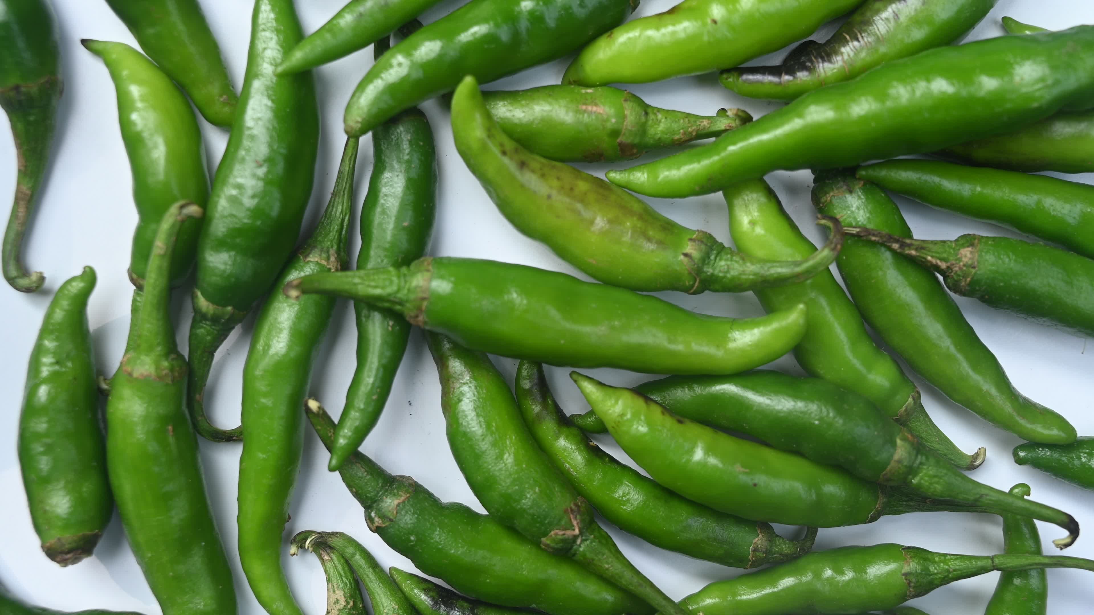 Green Chilli Pepper - Agriculture in India
