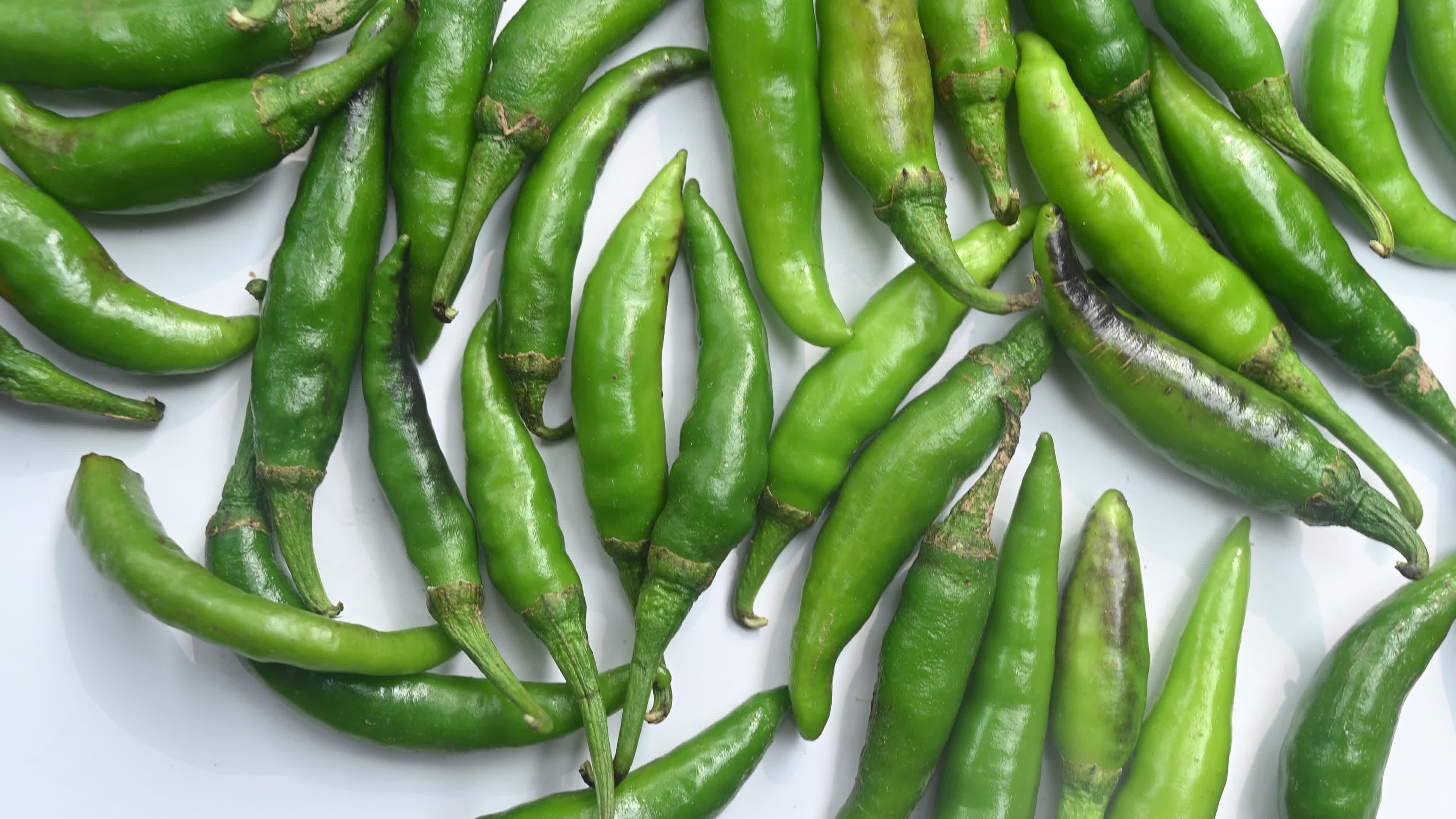 Green Chilli Pepper - Agriculture in India
