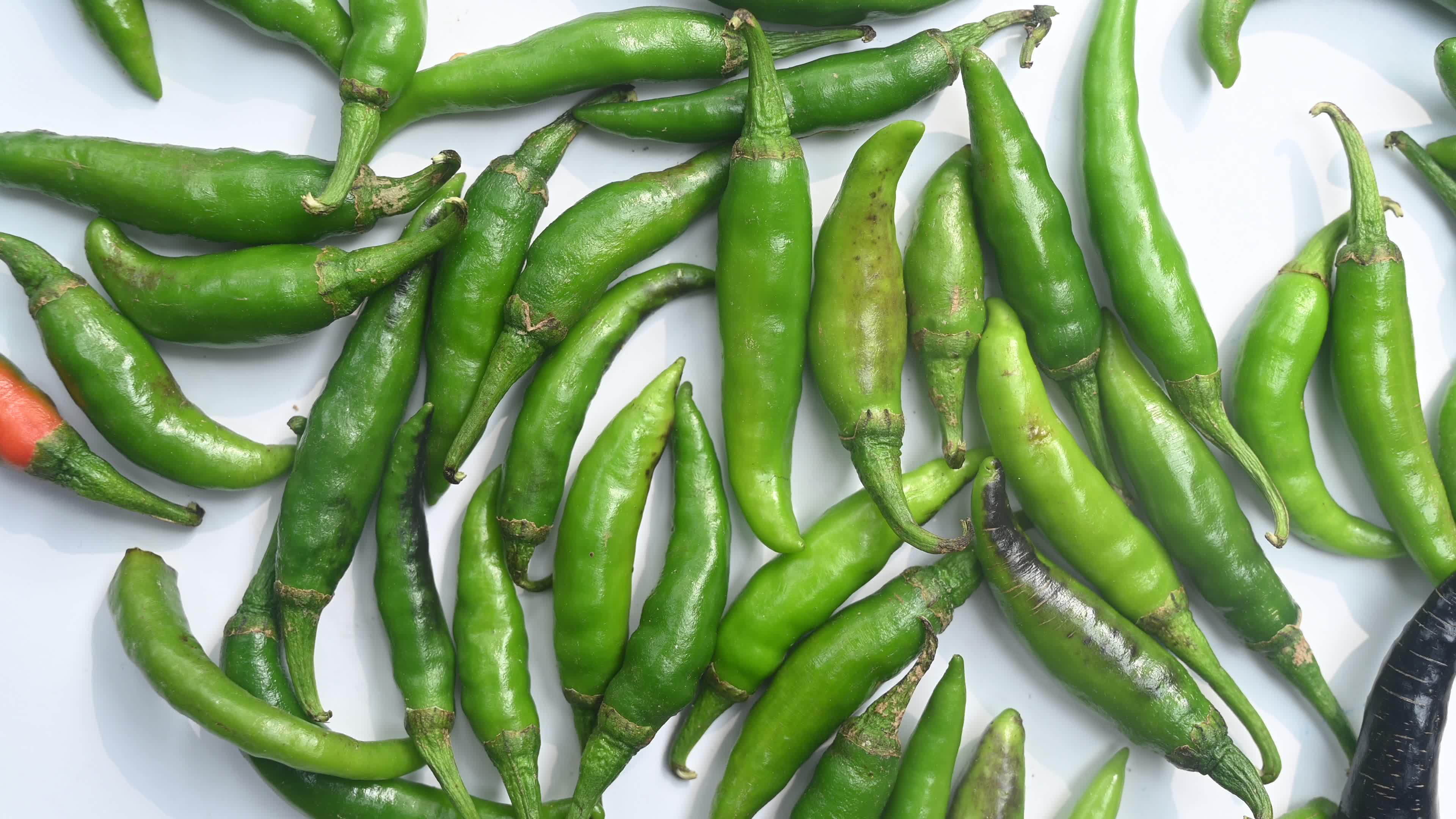 Green Chilli Pepper - Agriculture in India
