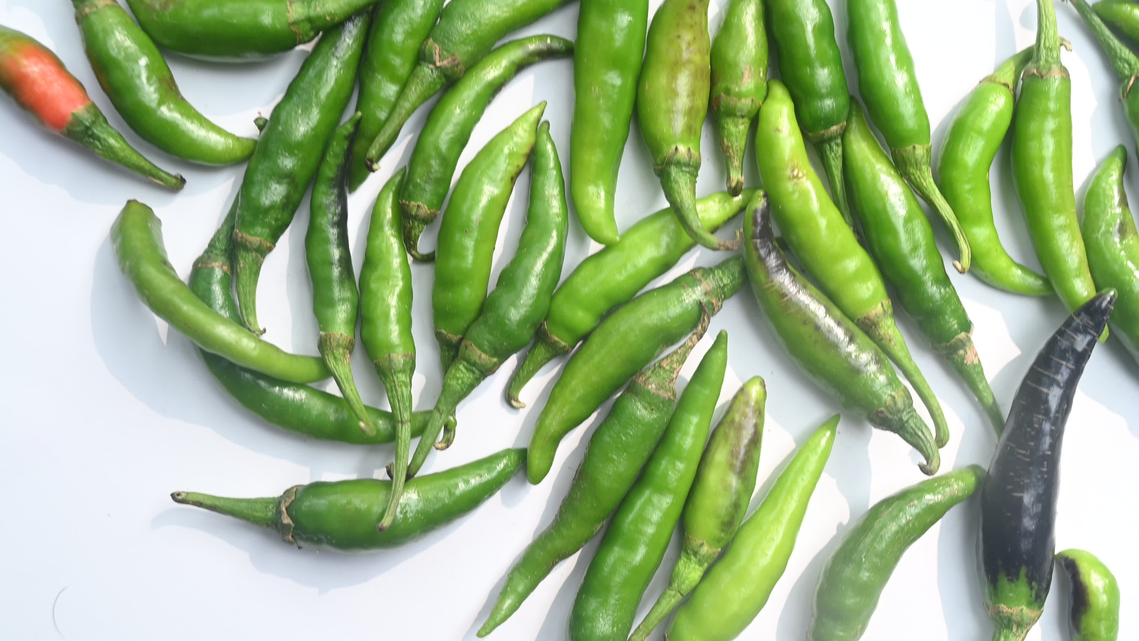 Green Chilli Pepper - Agriculture in India

