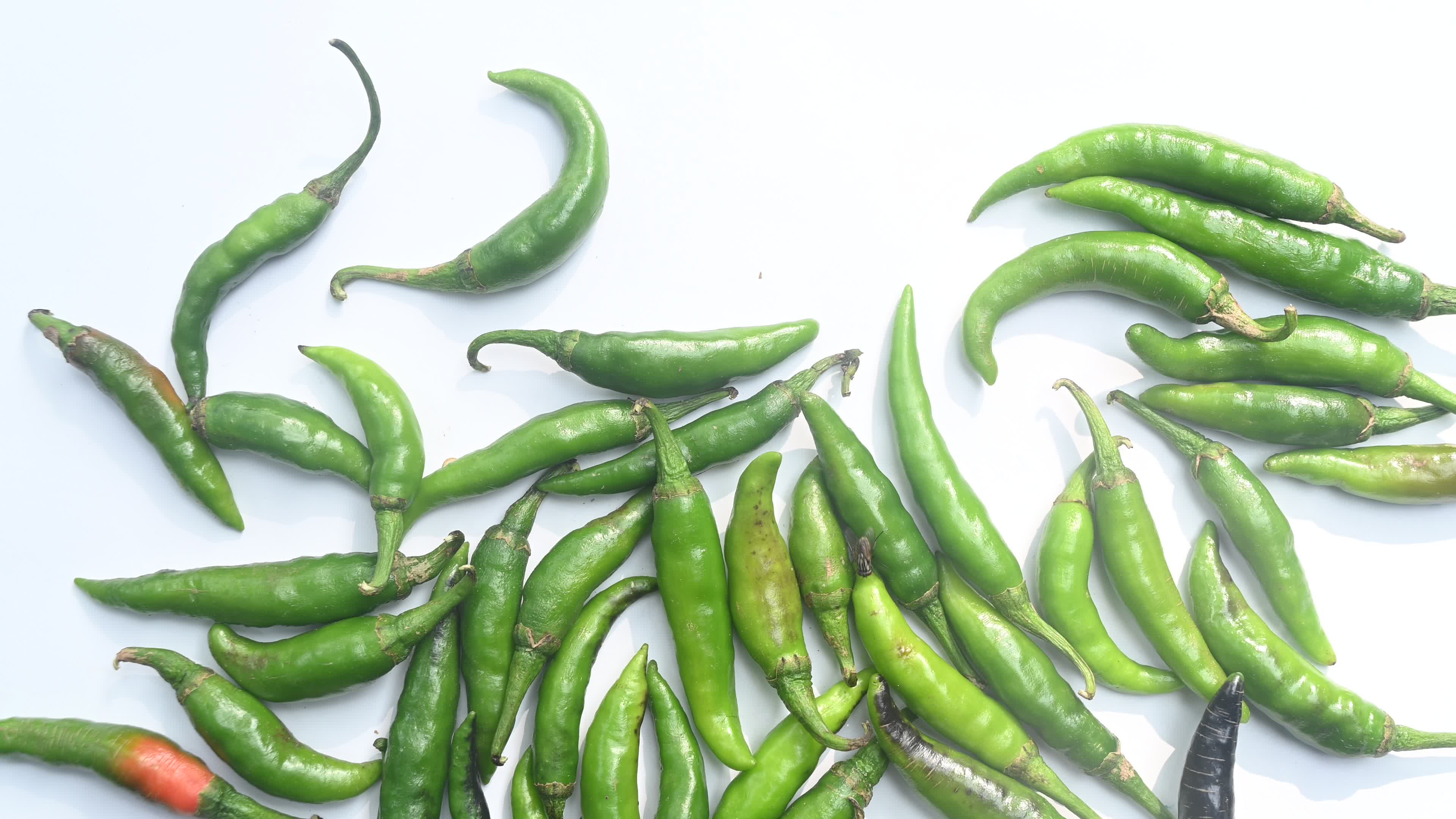 Green Chilli Pepper - Agriculture in India
