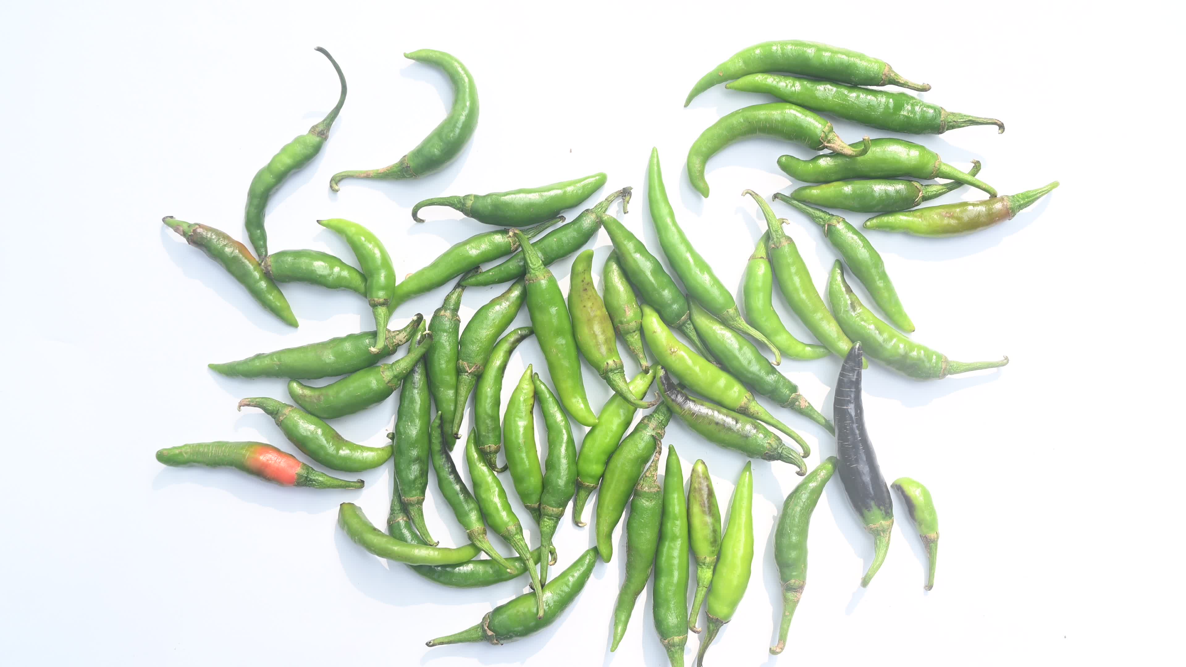 Green Chilli Pepper - Agriculture in India
