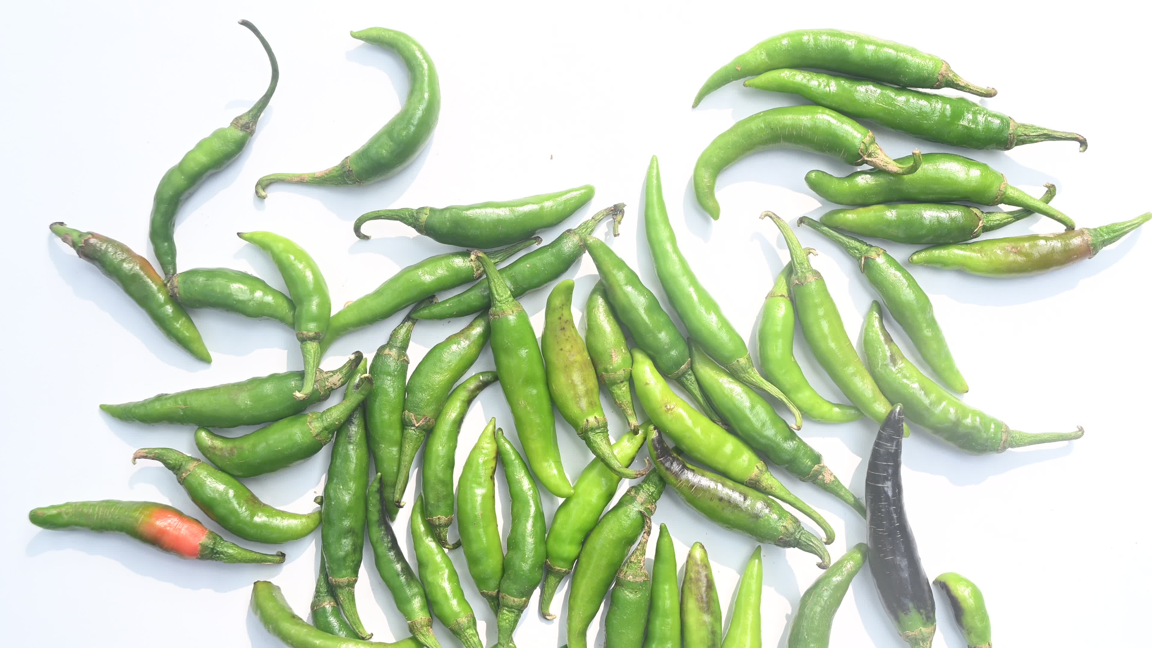 Green Chilli Pepper - Agriculture in India
