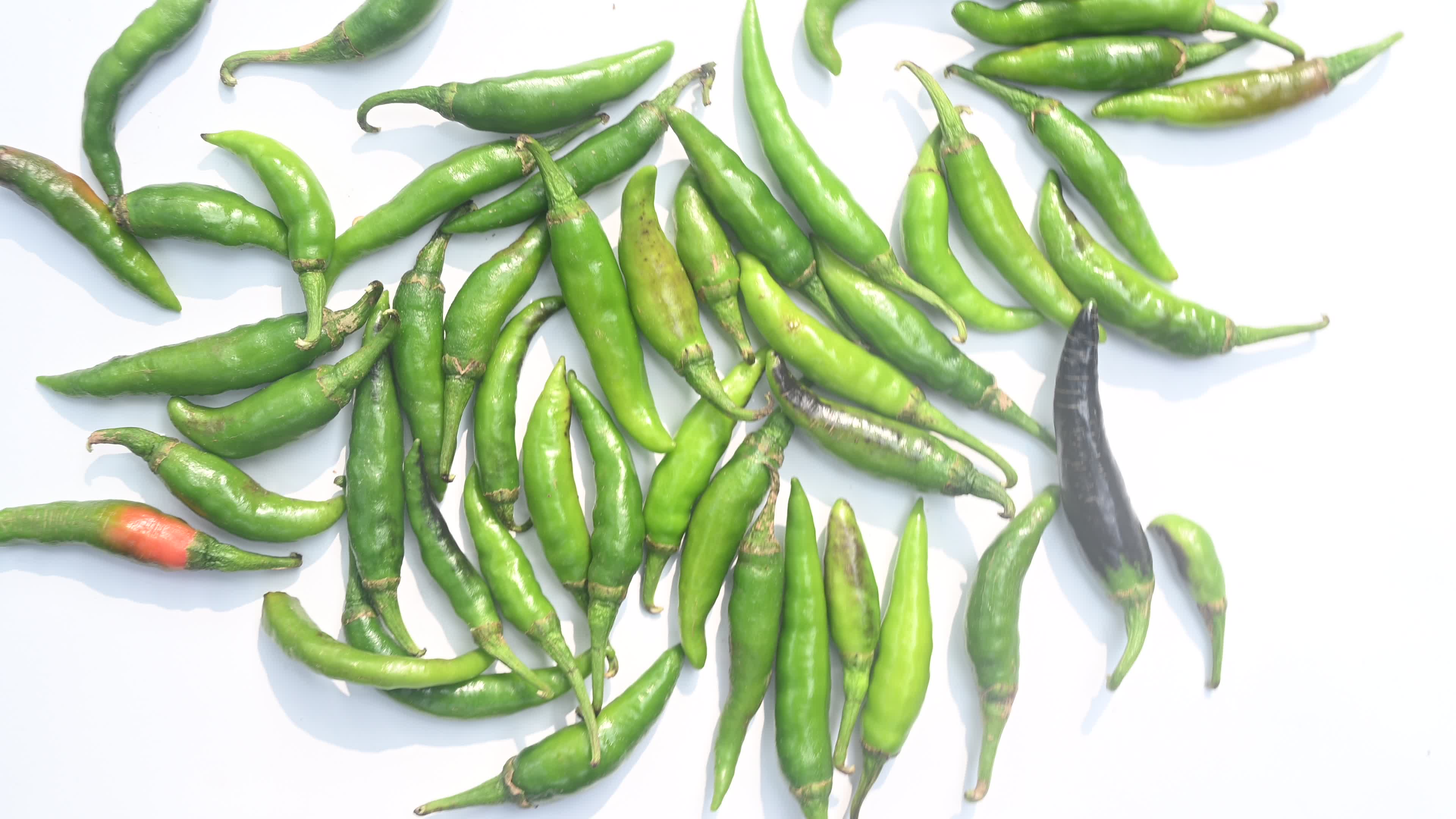 Green Chilli Pepper - Agriculture in India
