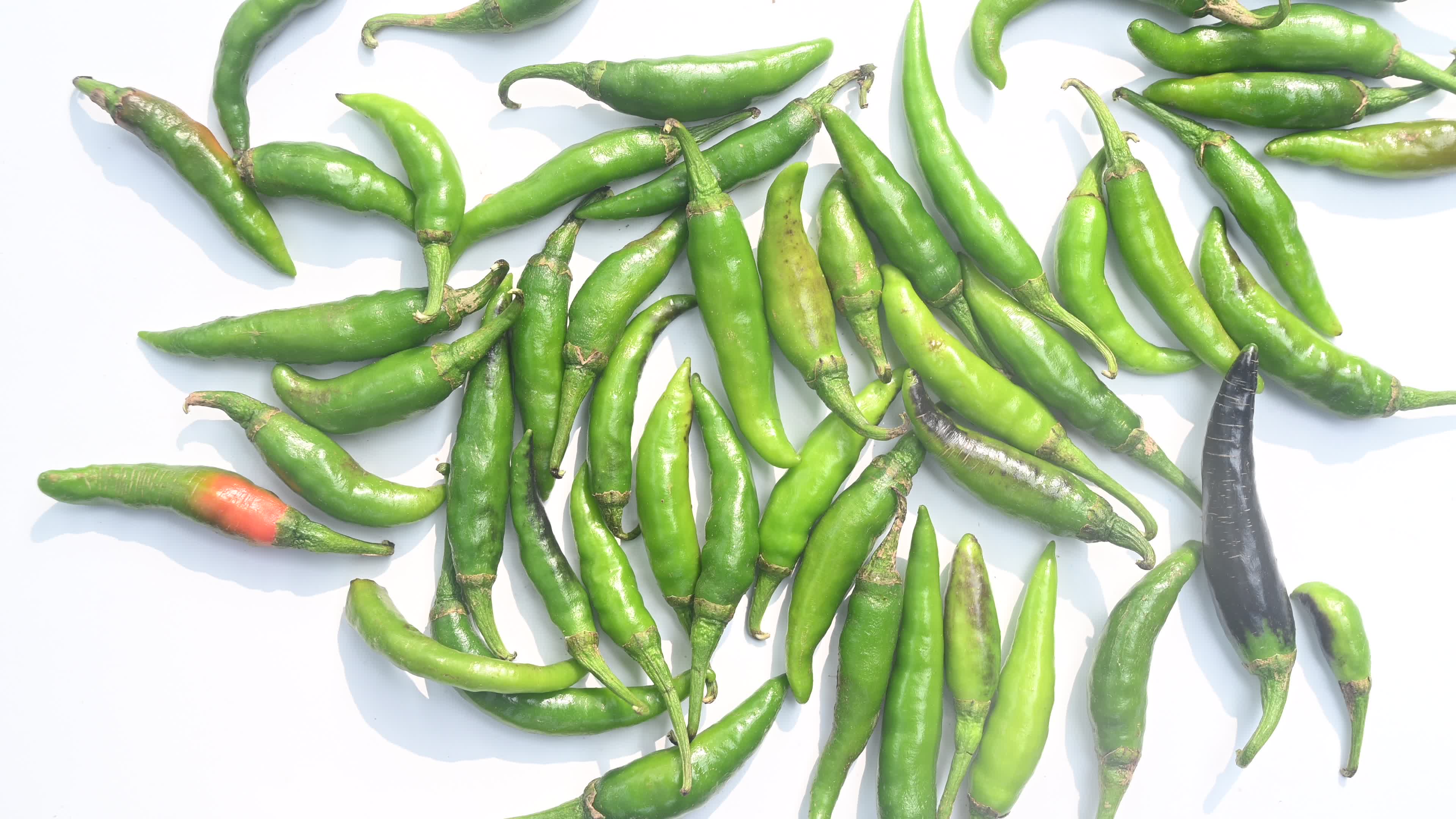 Green Chilli Pepper - Agriculture in India
