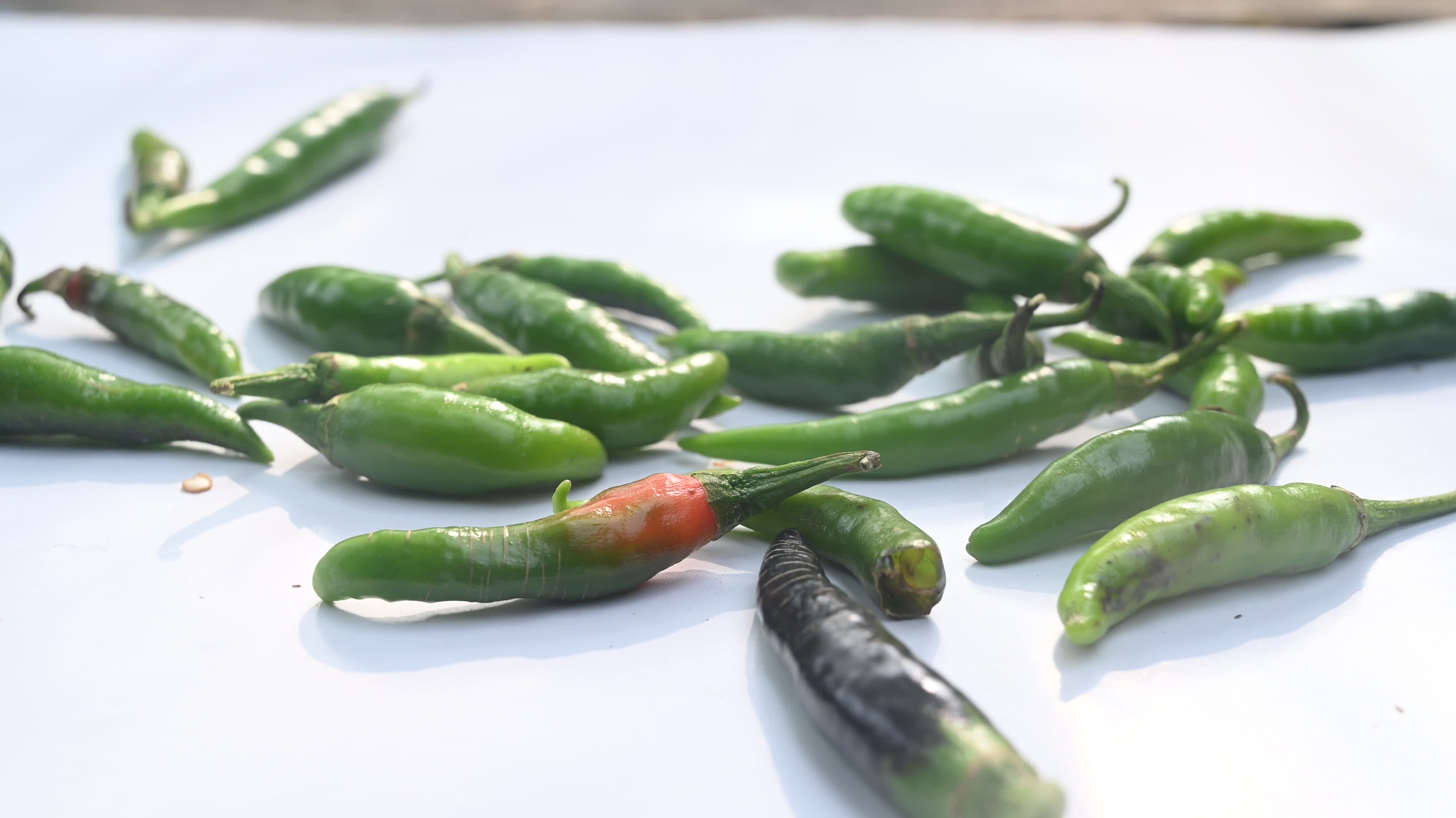 Green Chilli Pepper - Agriculture in India
