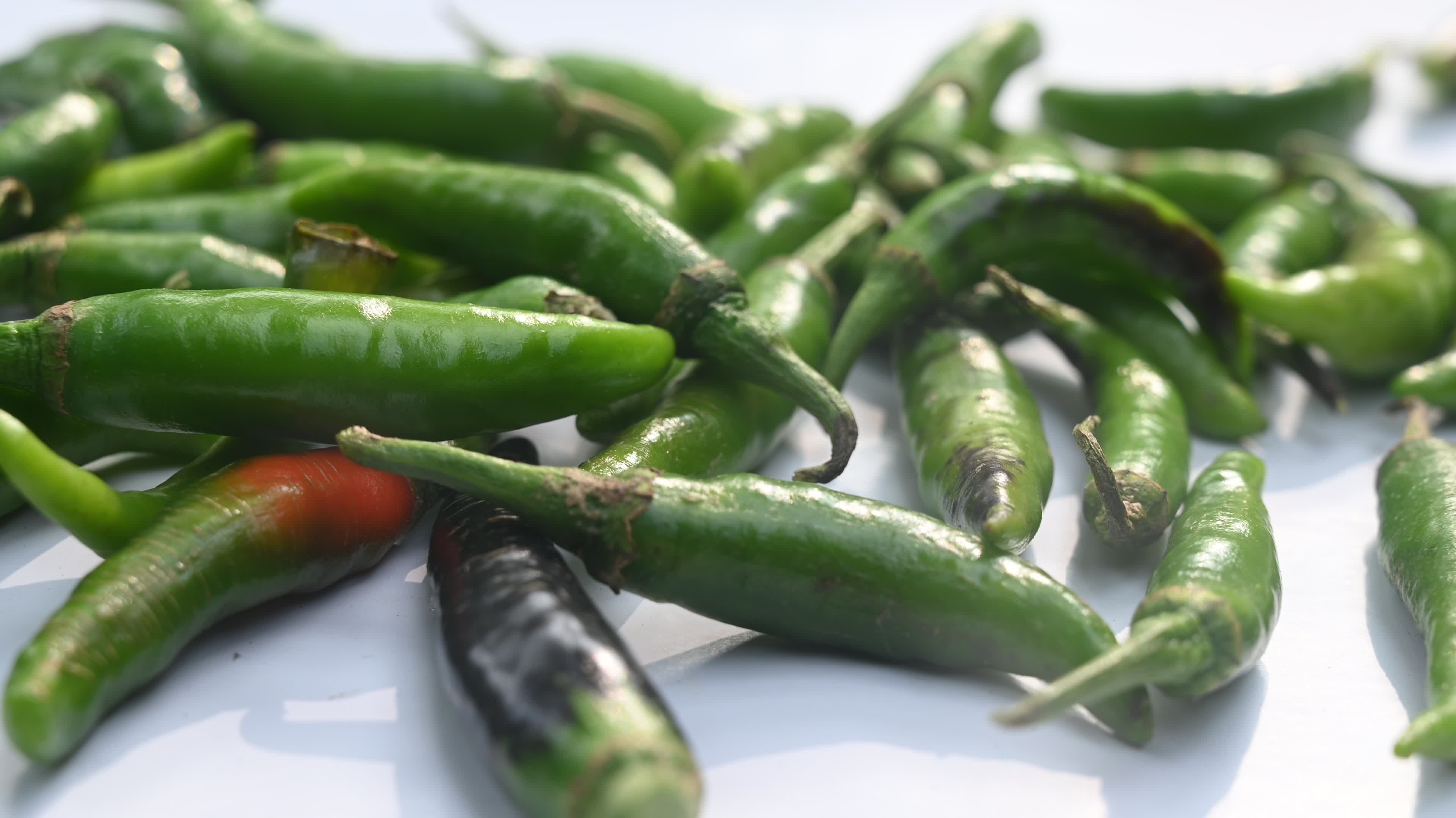 Green Chilli Pepper - Agriculture in India
