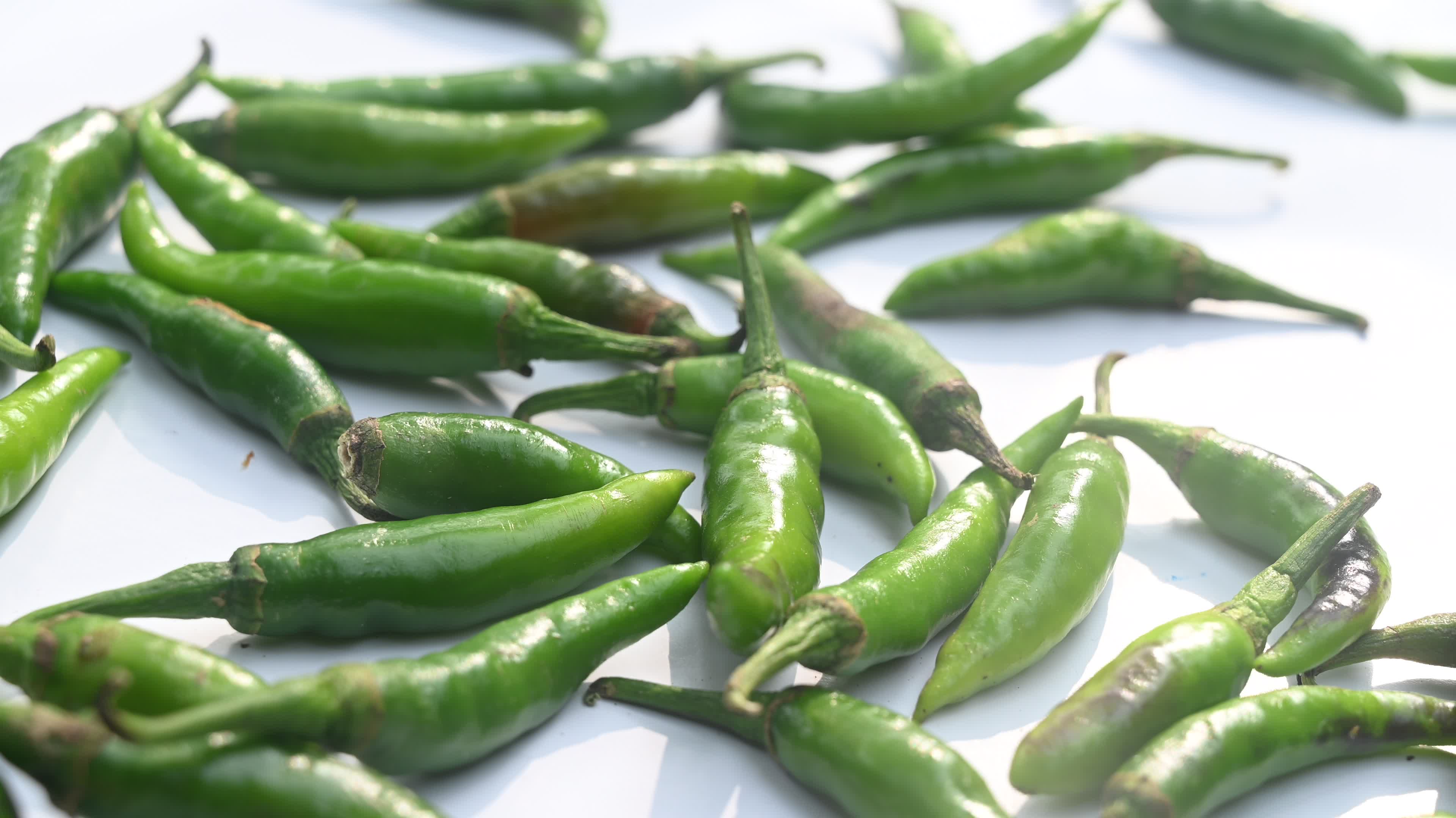 Green Chilli Pepper - Agriculture in India
