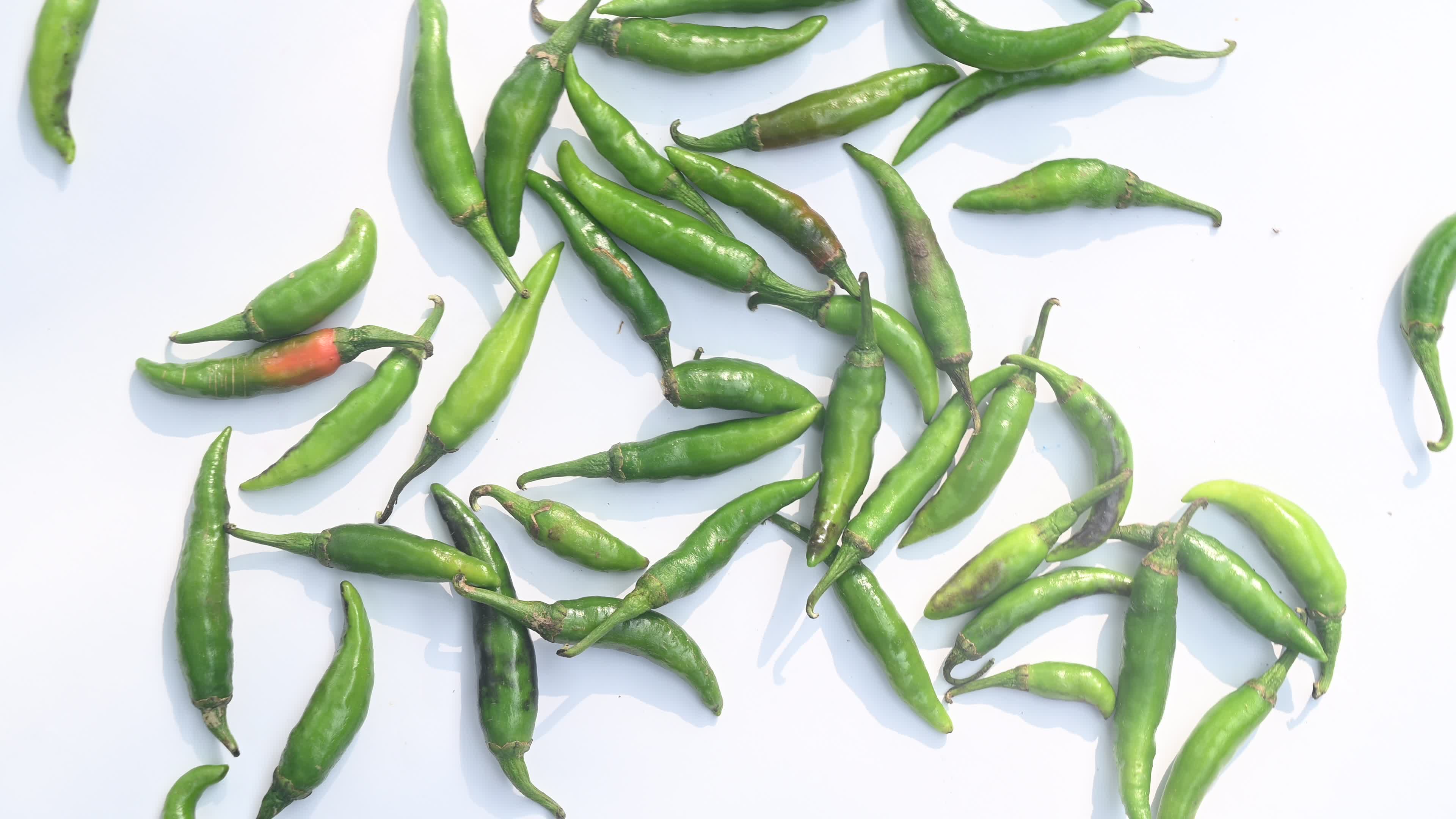 Green Chilli Pepper - Agriculture in India
