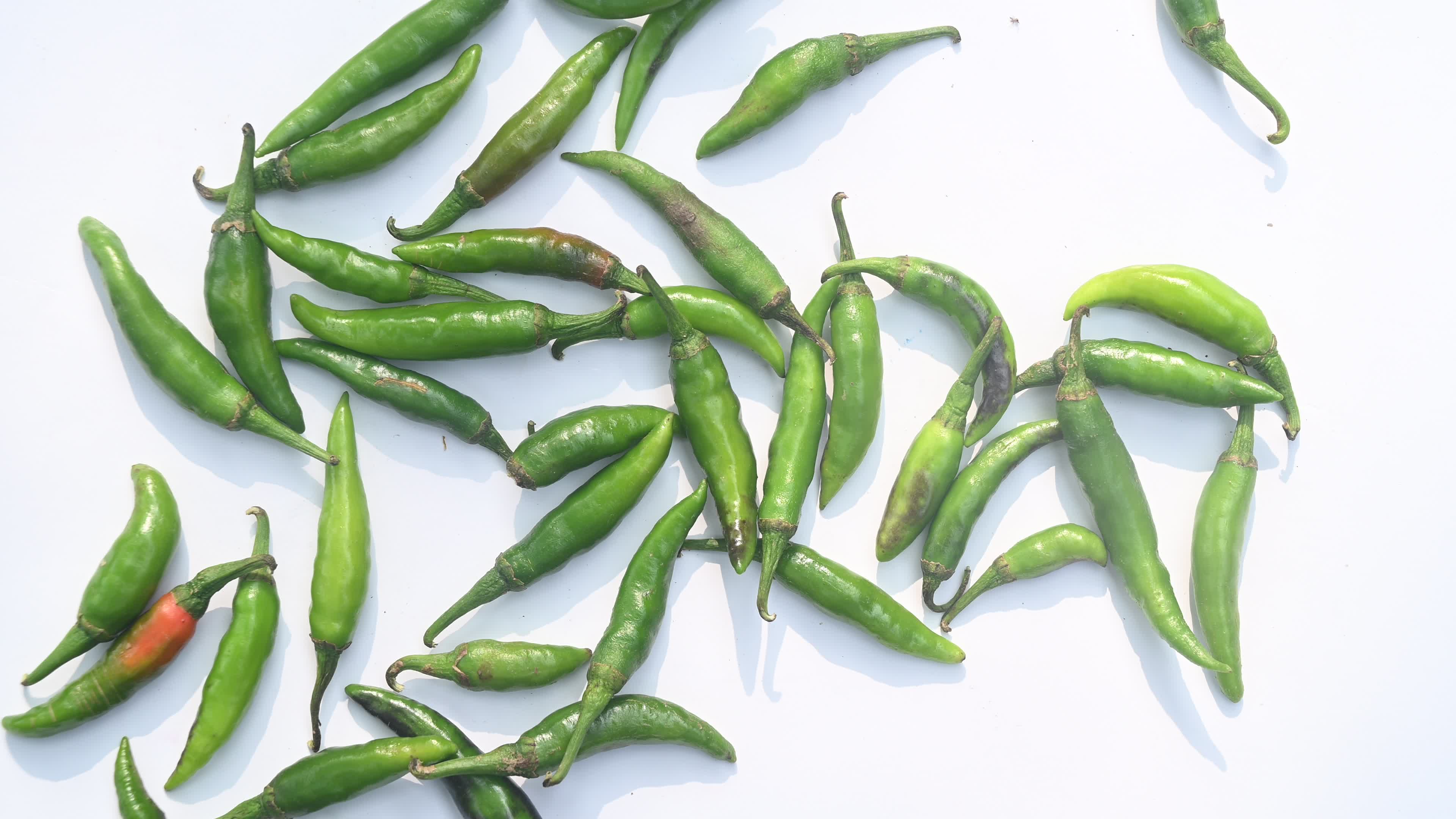 Green Chilli Pepper - Agriculture in India
