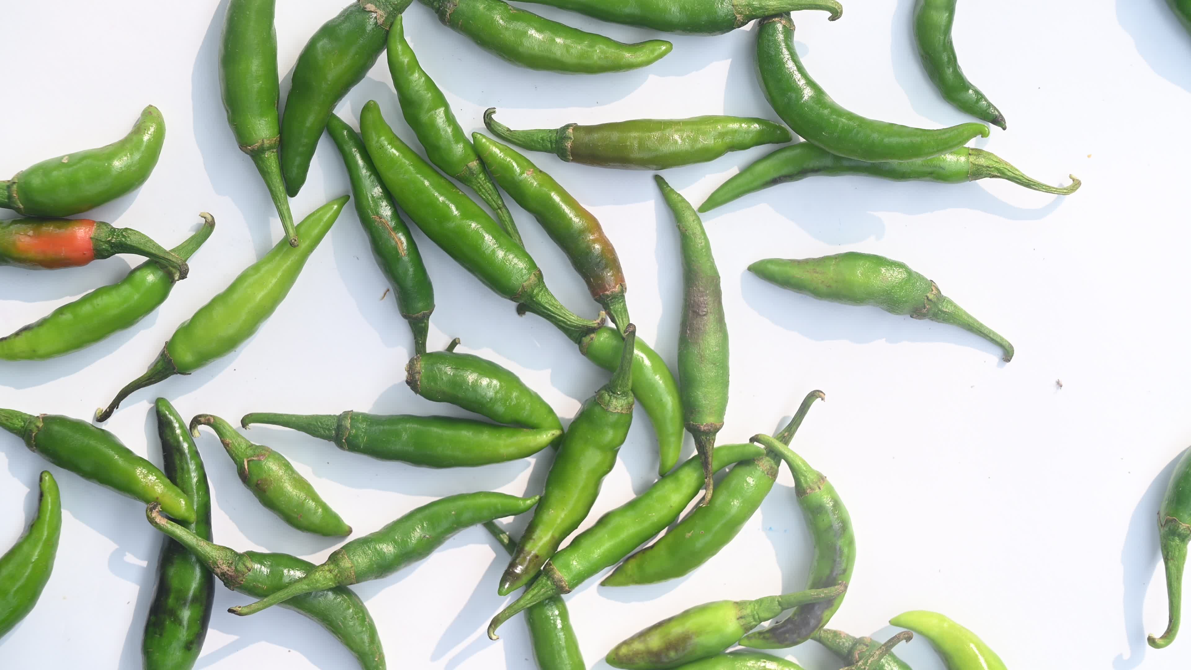 Green Chilli Pepper - Agriculture in India

