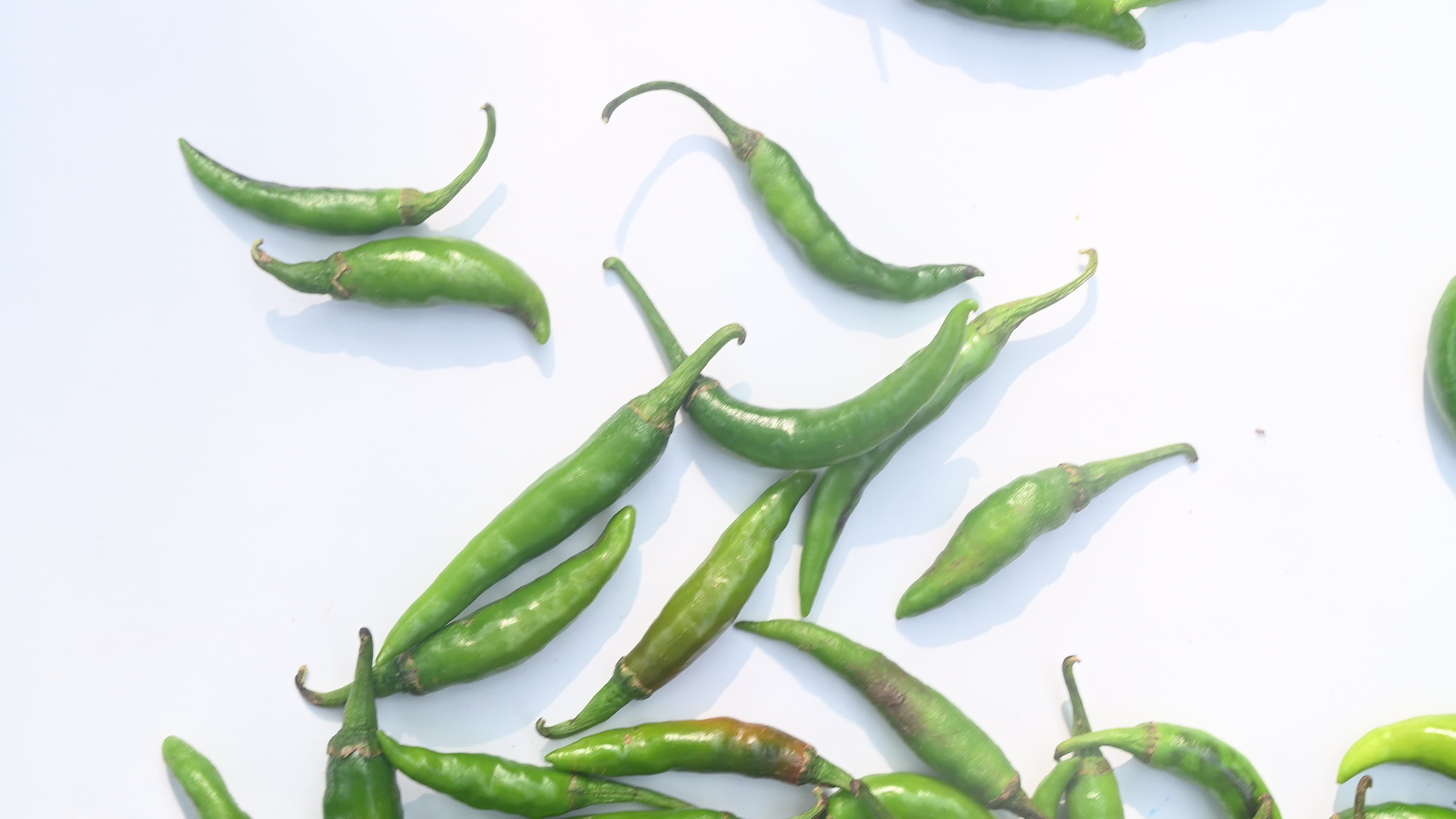 Green Chilli Pepper - Agriculture in India
