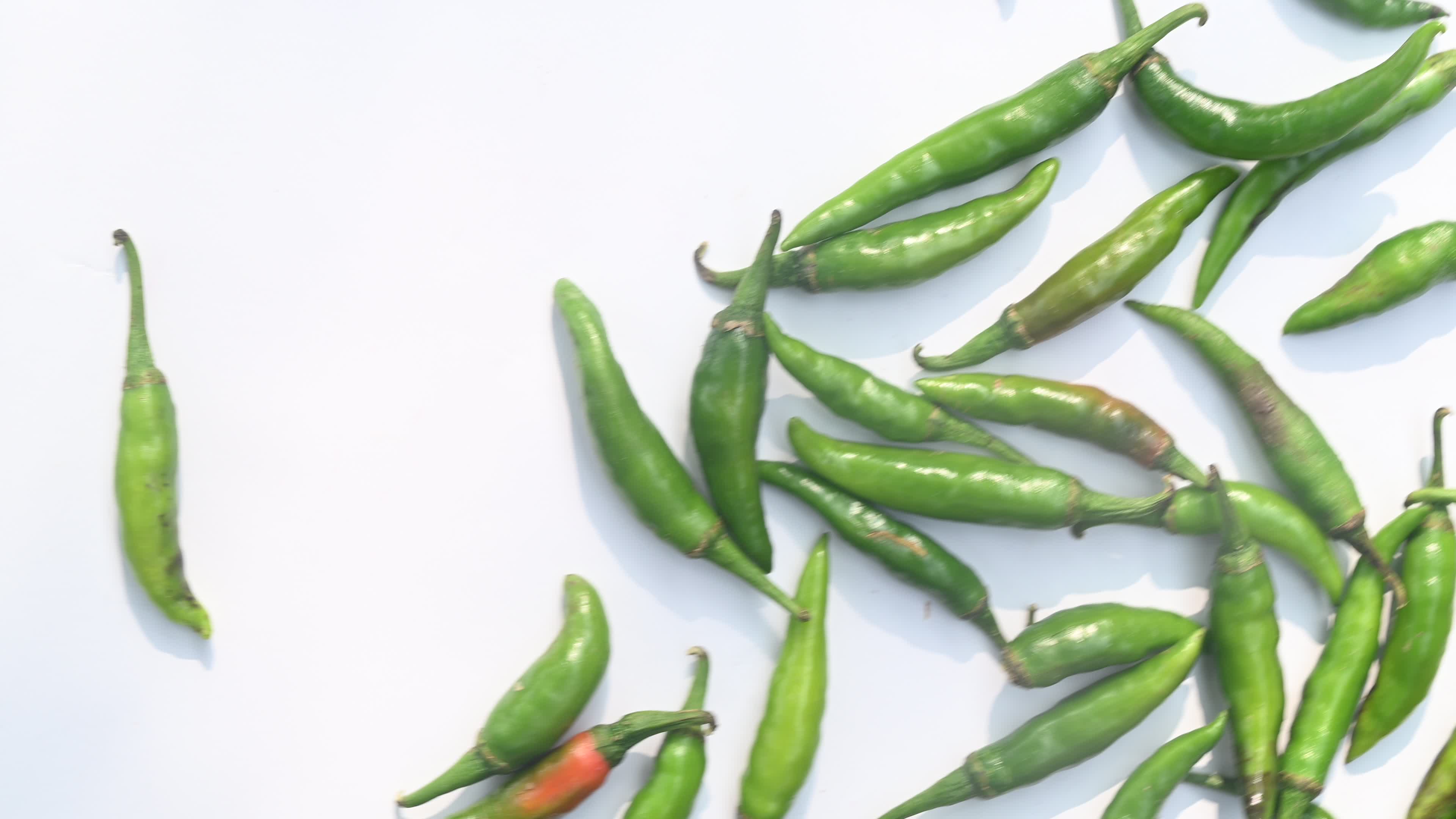 Green Chilli Pepper - Agriculture in India
