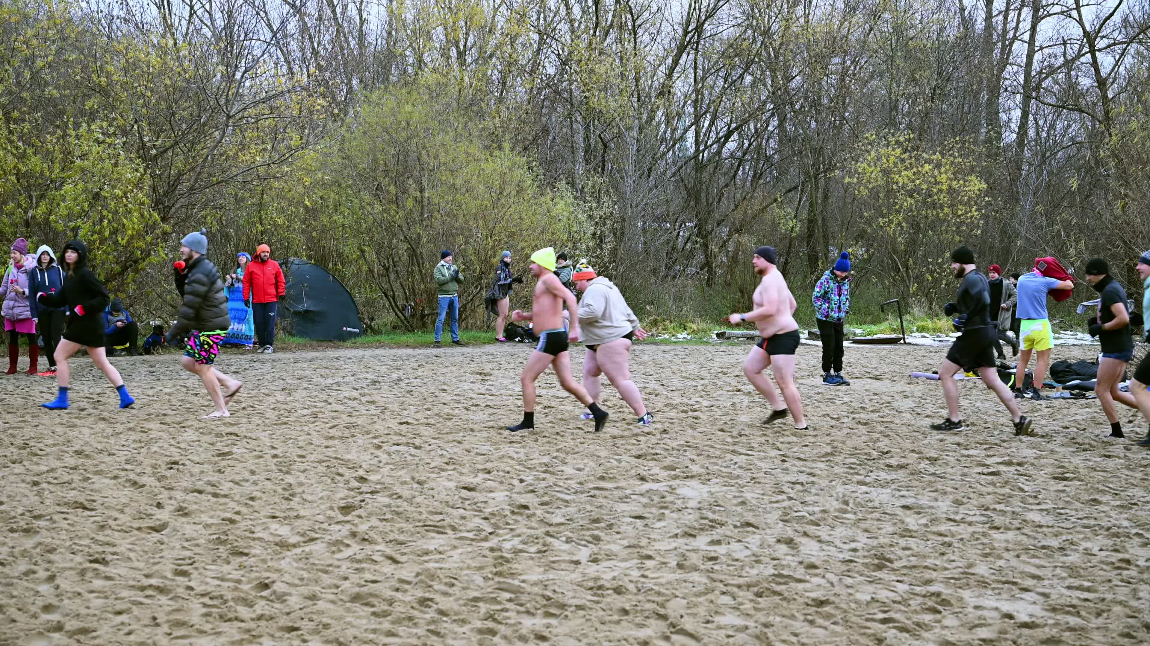 "Walruses" brave cold waters in Warsaw