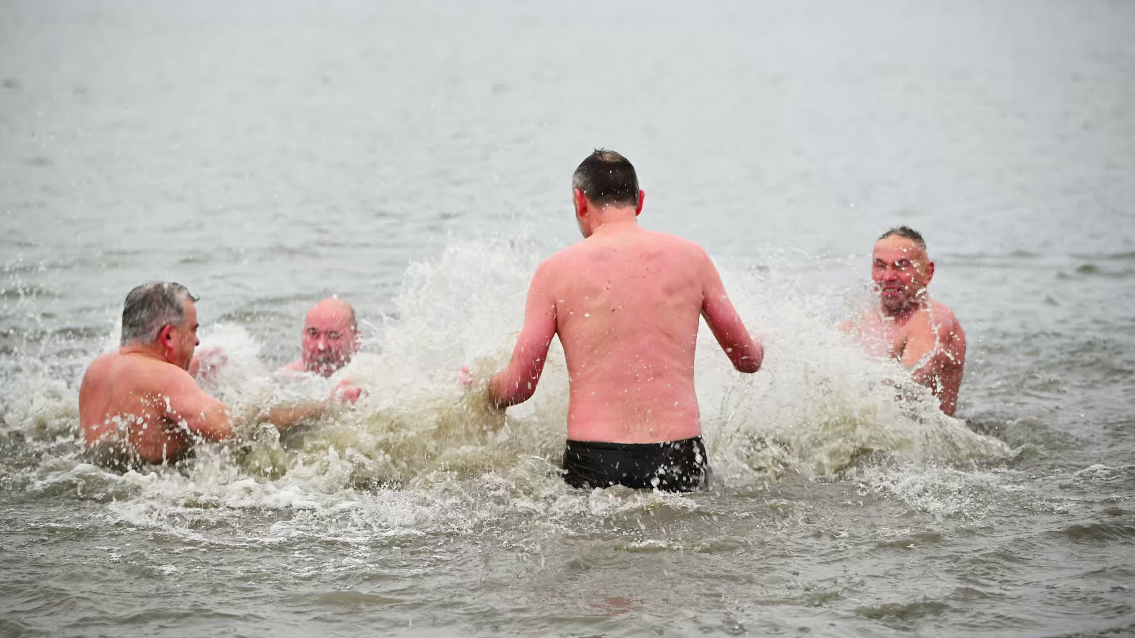 "Walruses" brave cold waters in Warsaw