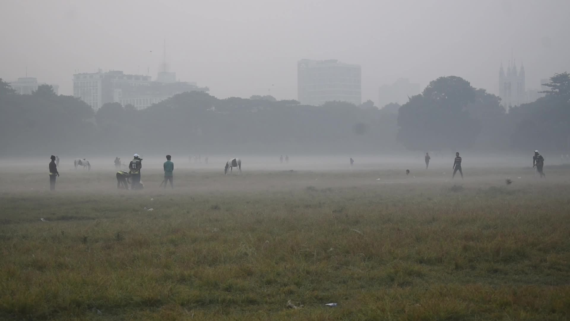Winter in Kolkata, India