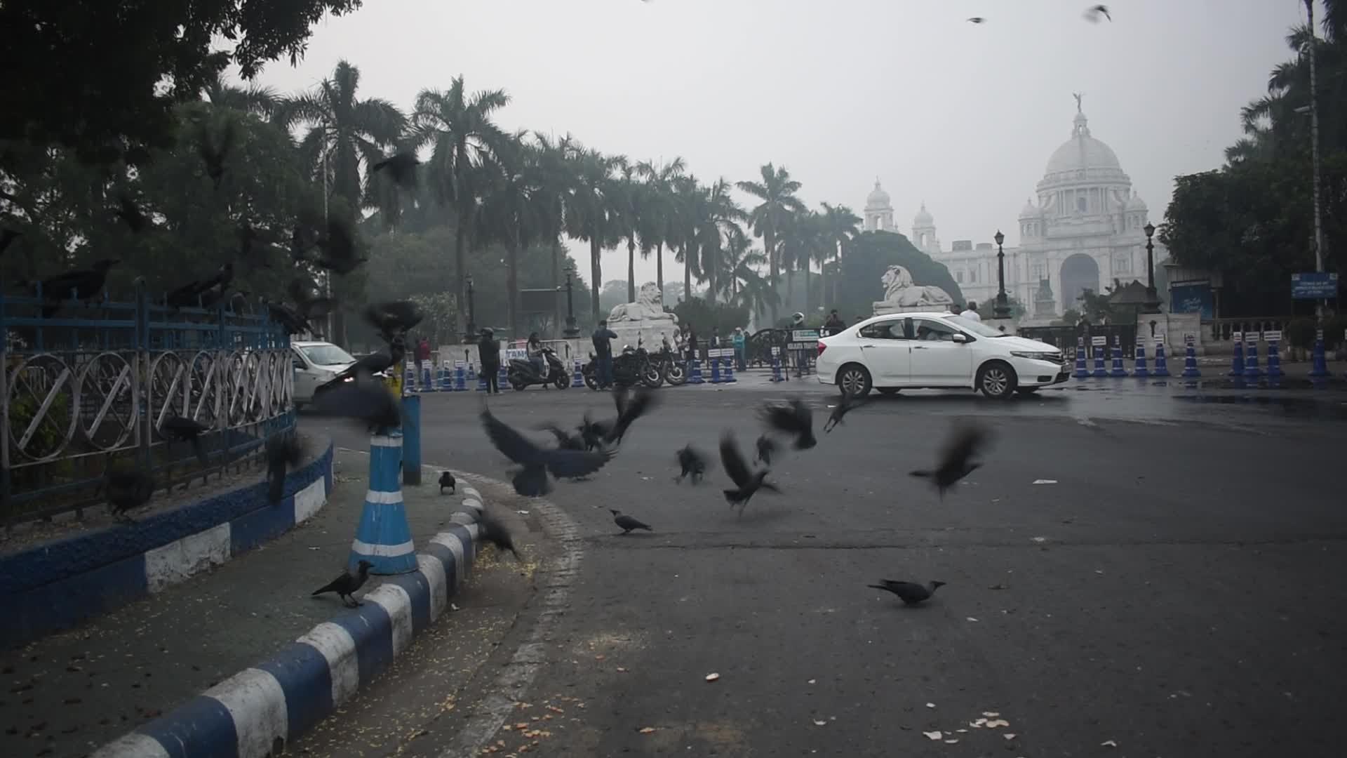 Winter in Kolkata, India
