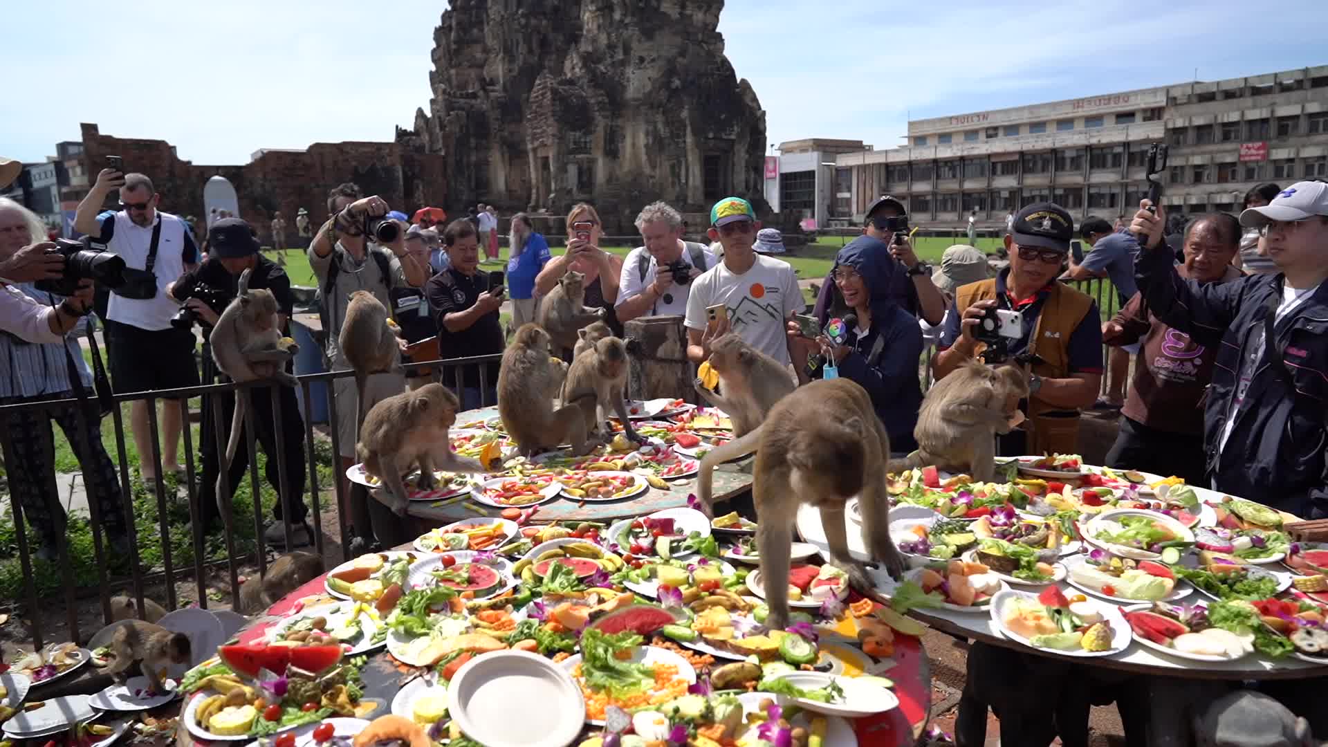  Thailand's Annual Monkey Banquet Festival in Lopburi.