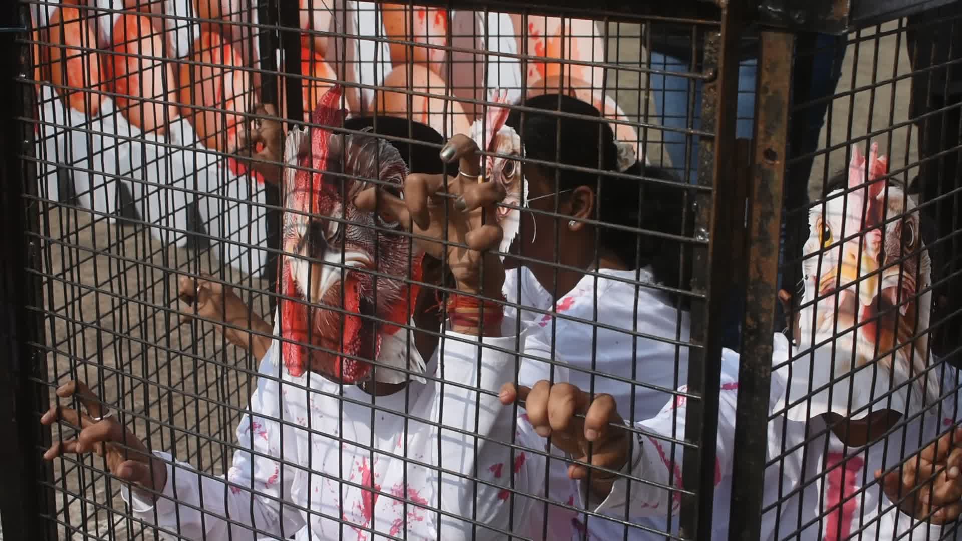 Vegan protest in Kolkata.