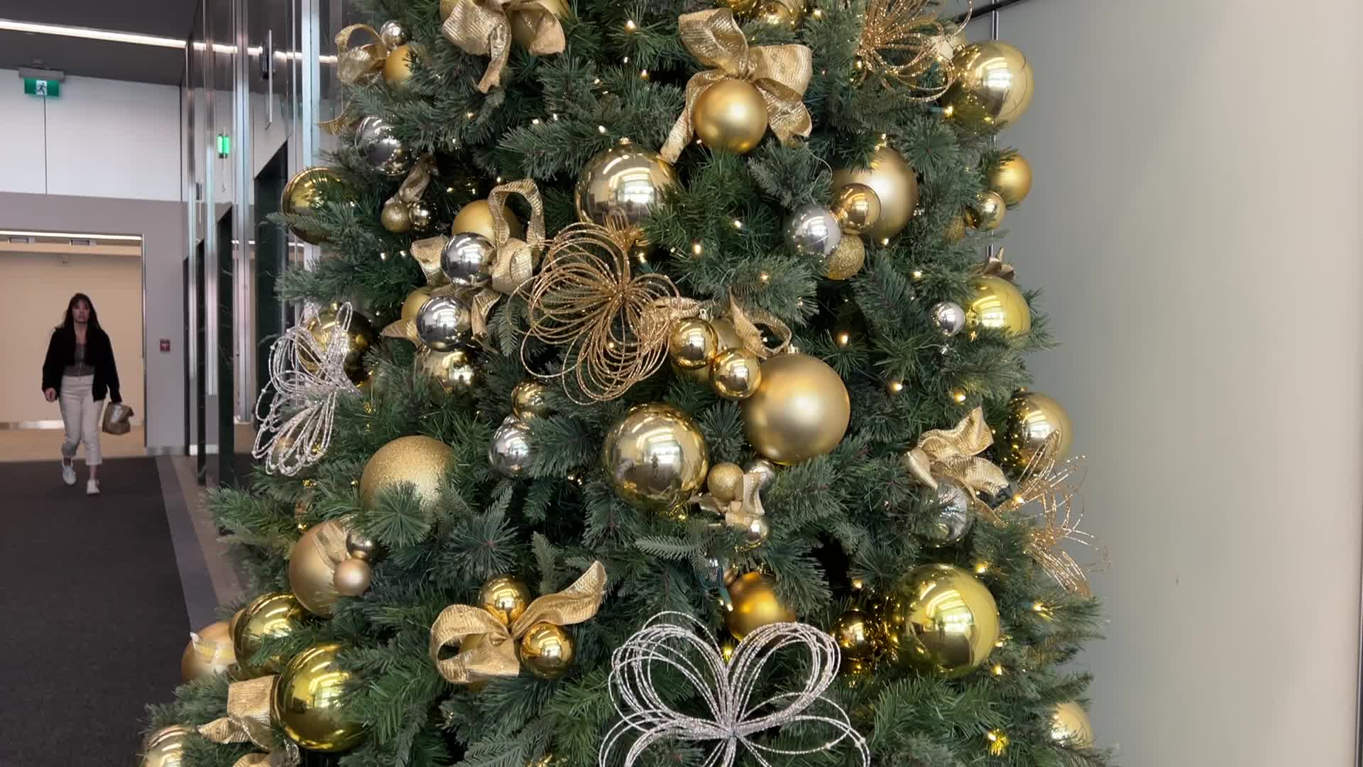 Christmas tree in Toronto, Canada