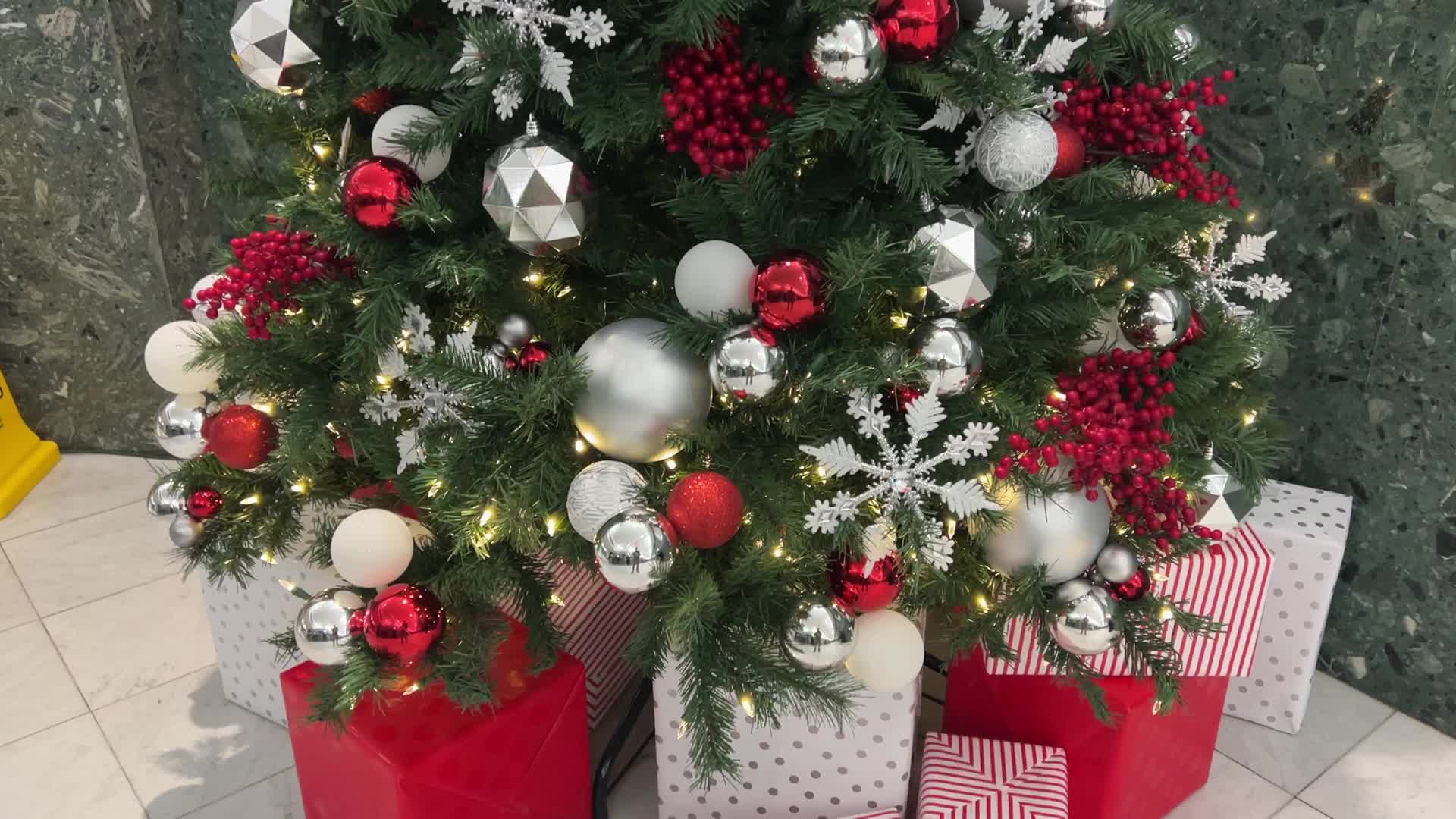 Christmas tree in Toronto, Canada