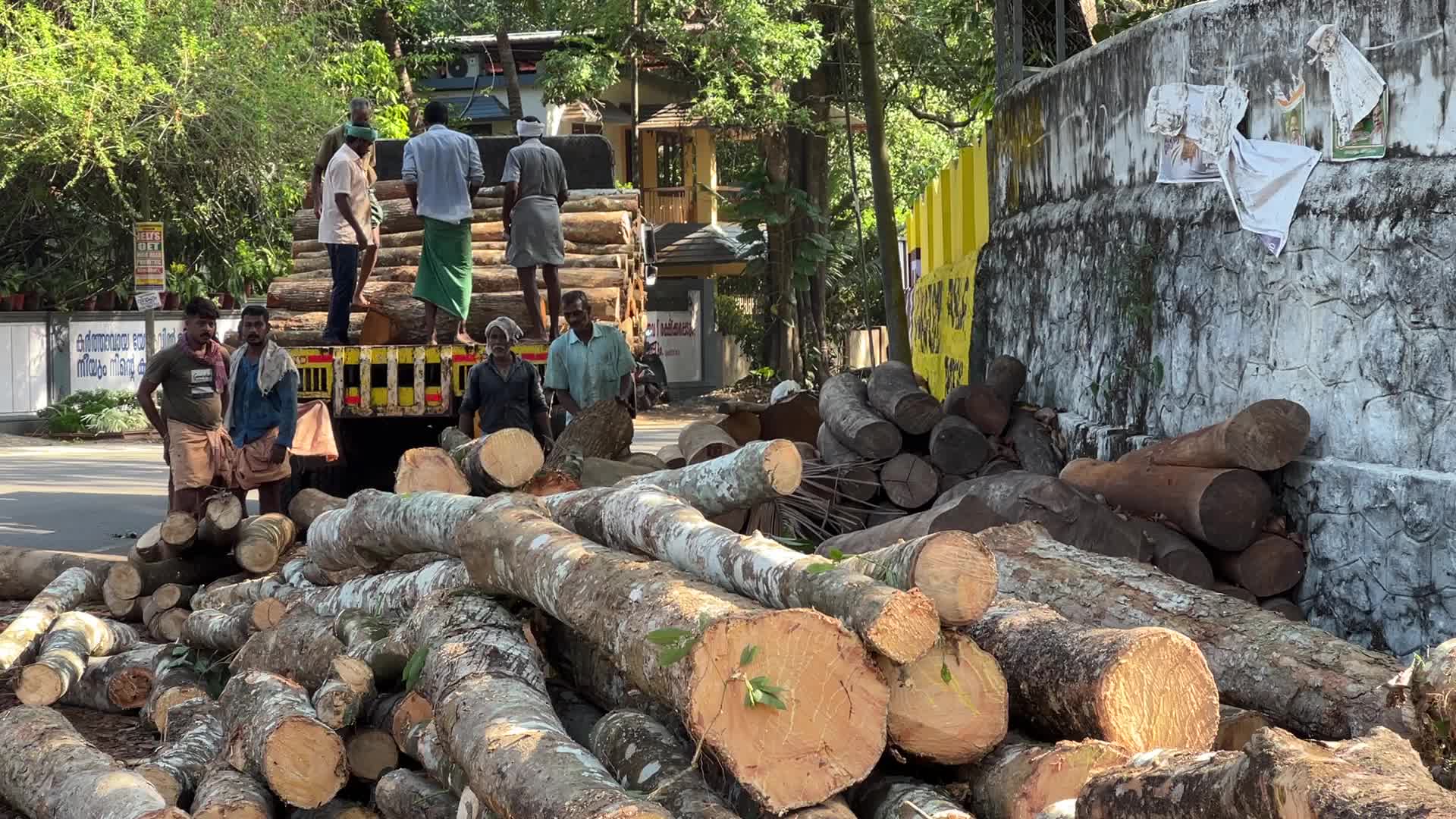 Timber industry in Kerala